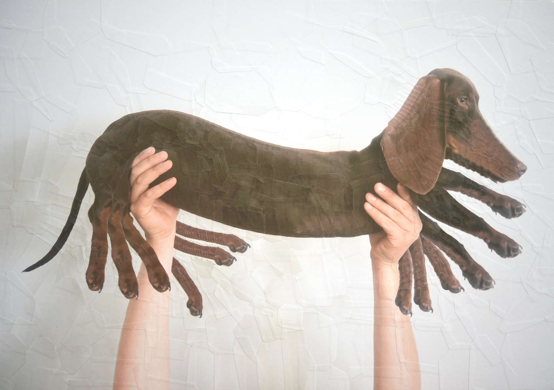 Keith, 2020, 16.5 x 11.5 inches