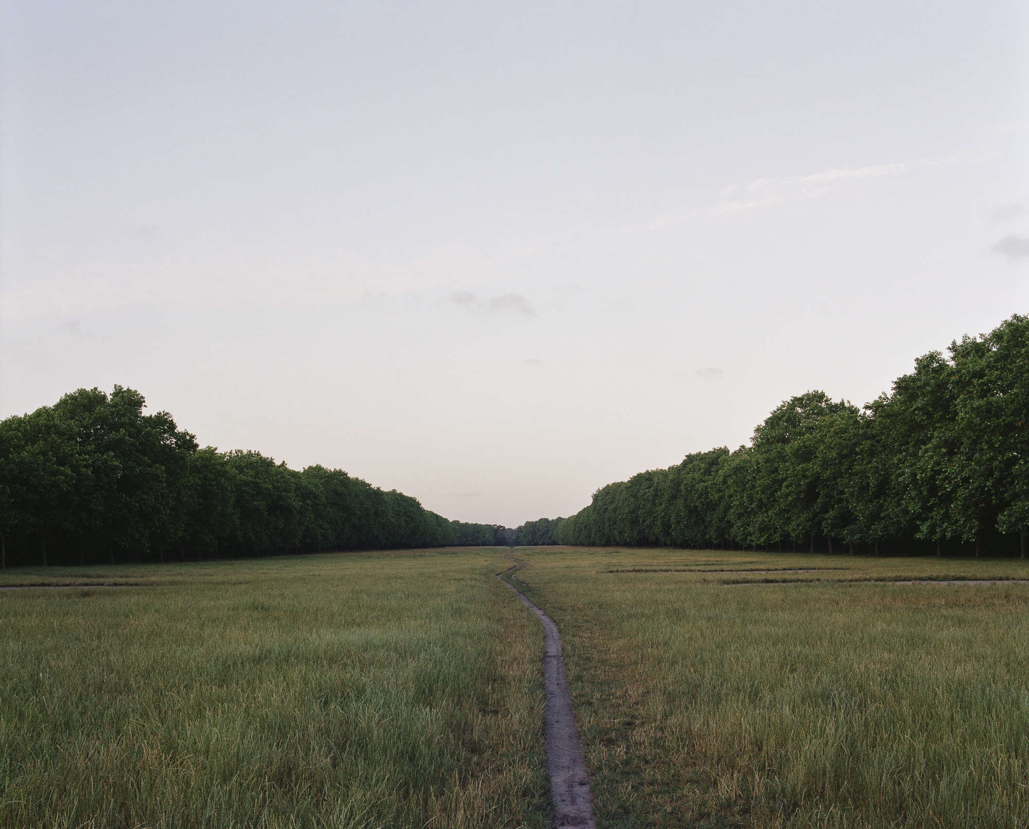 L'aube dans l'allée royale