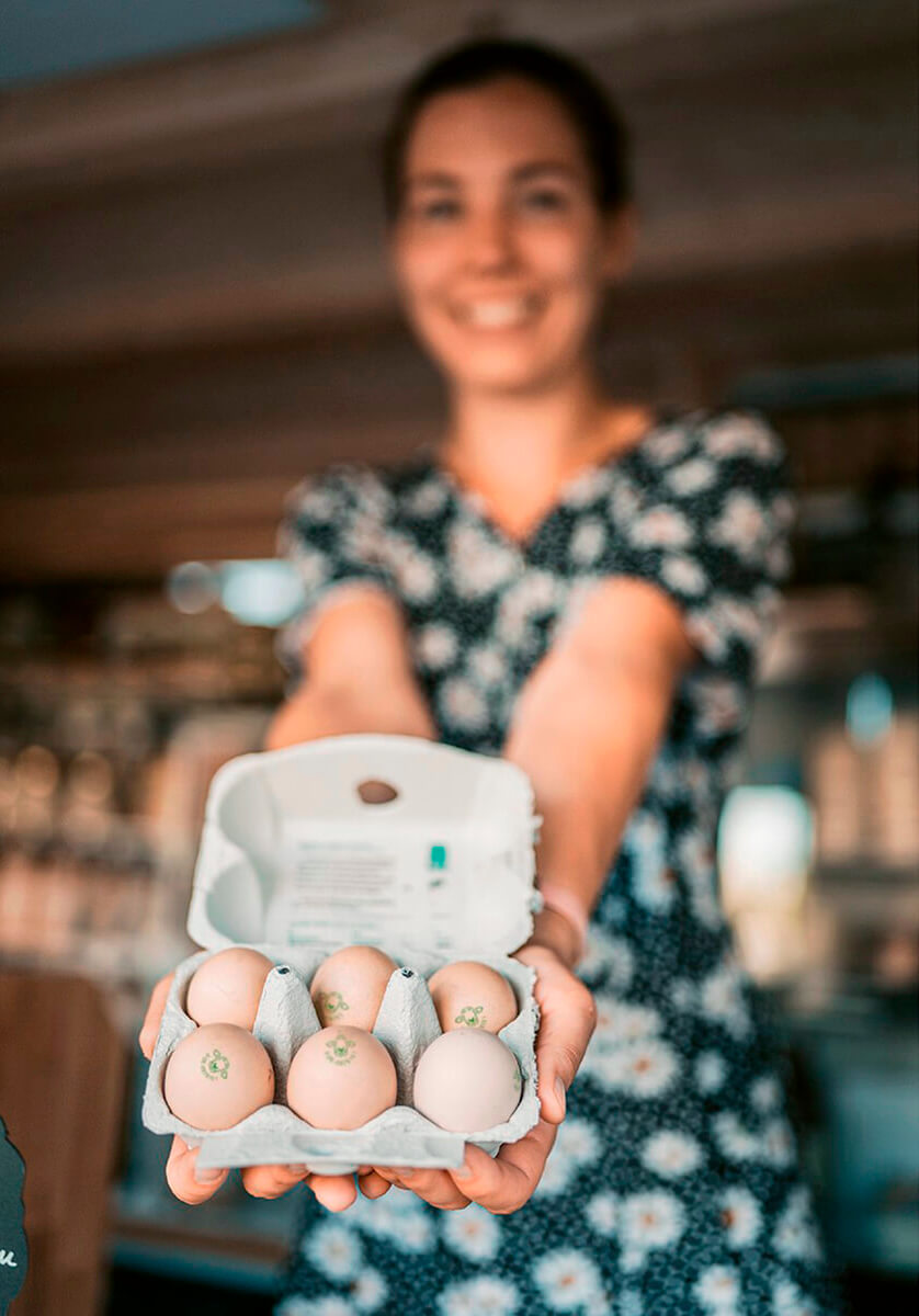The owner of the shop holds a box of 6 eggs up to the camera