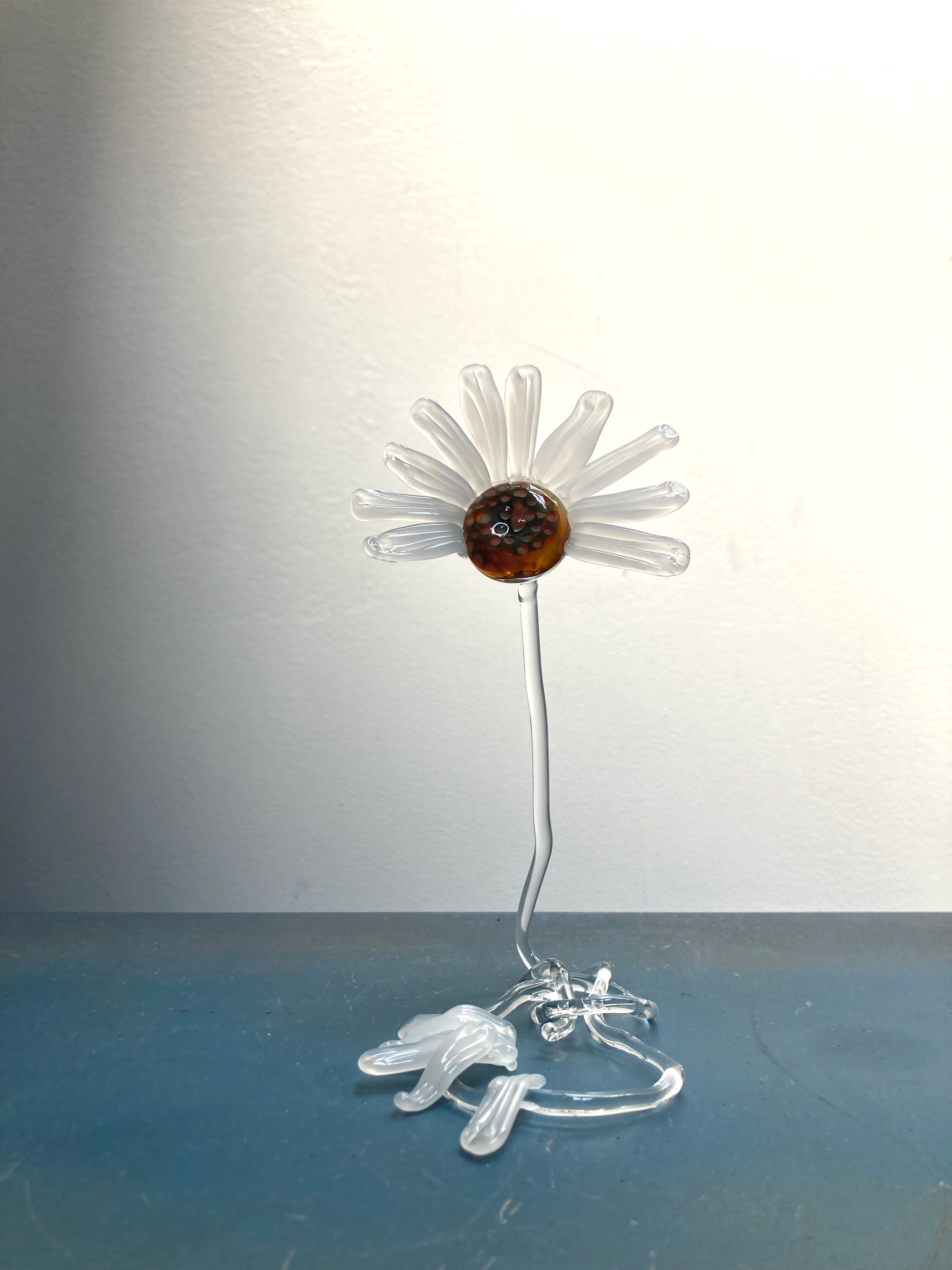 "Loves me knot" 2023