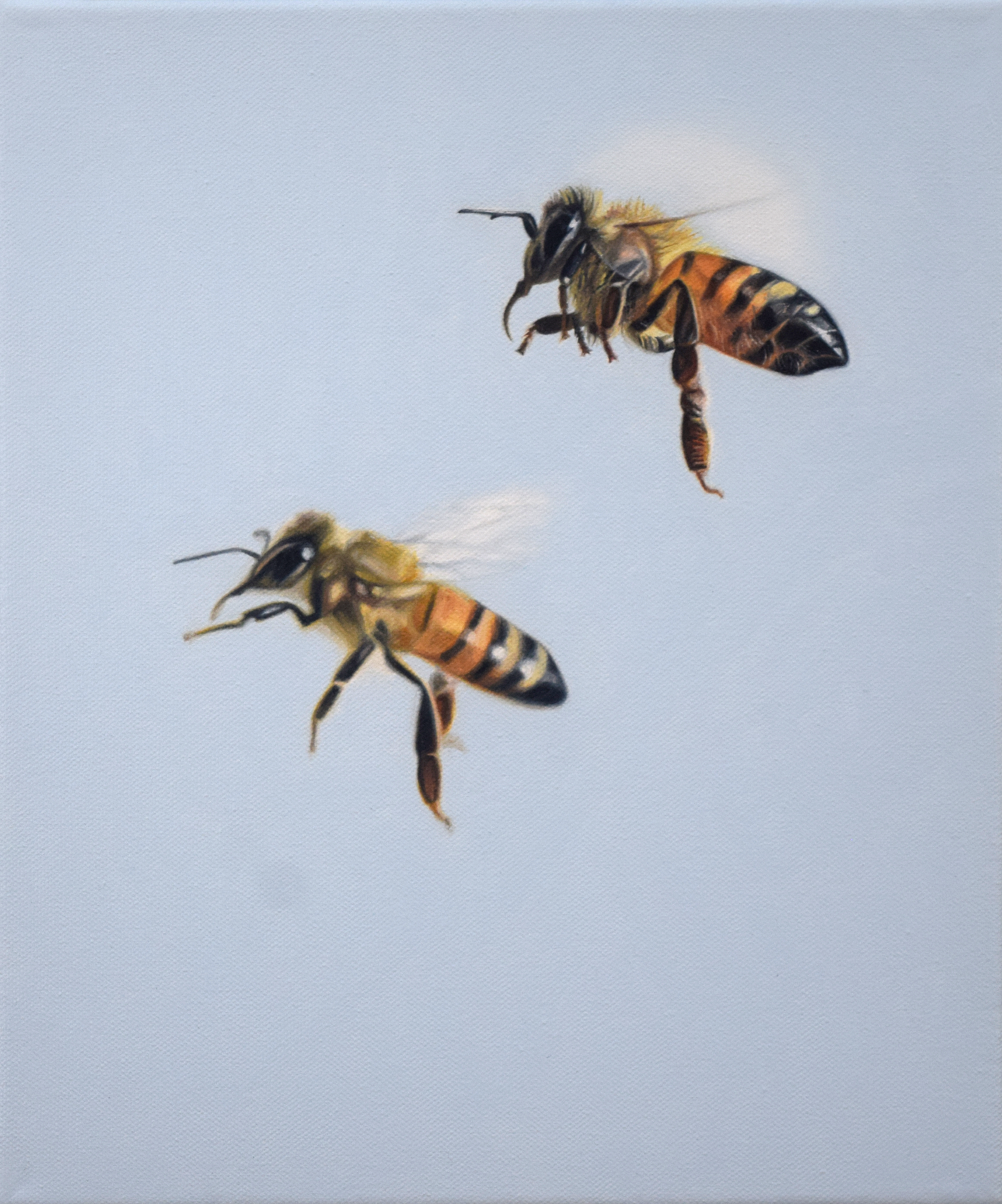 Bees II 2020 Oil on Canvas 12"x10"/30x25cm