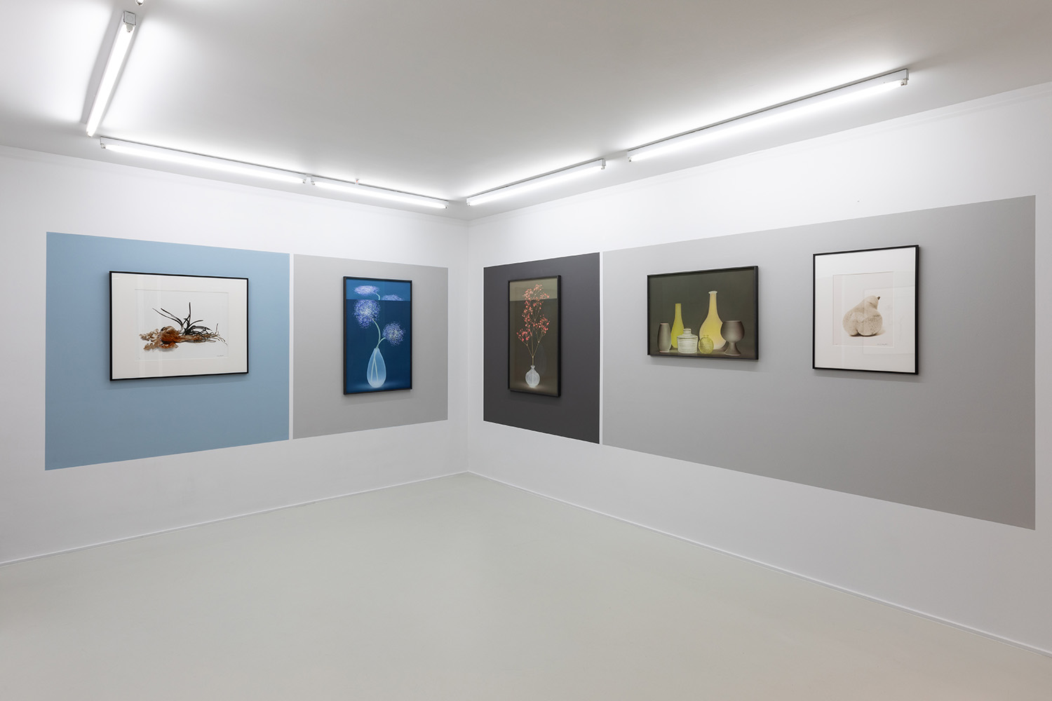 Michèle Schoonjans Gallery Brussels 2025