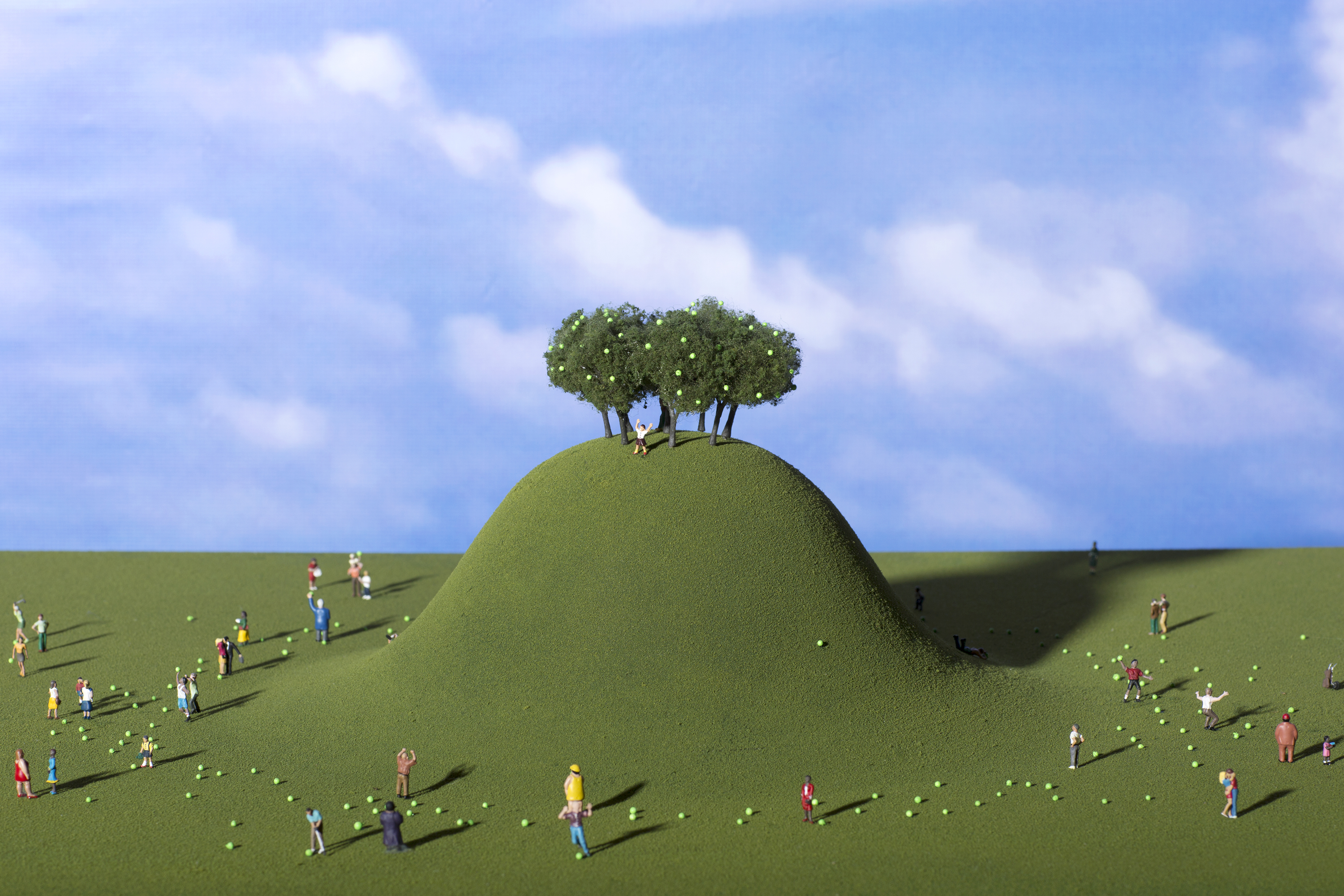 Osage Orange Folly Tree Hill Model