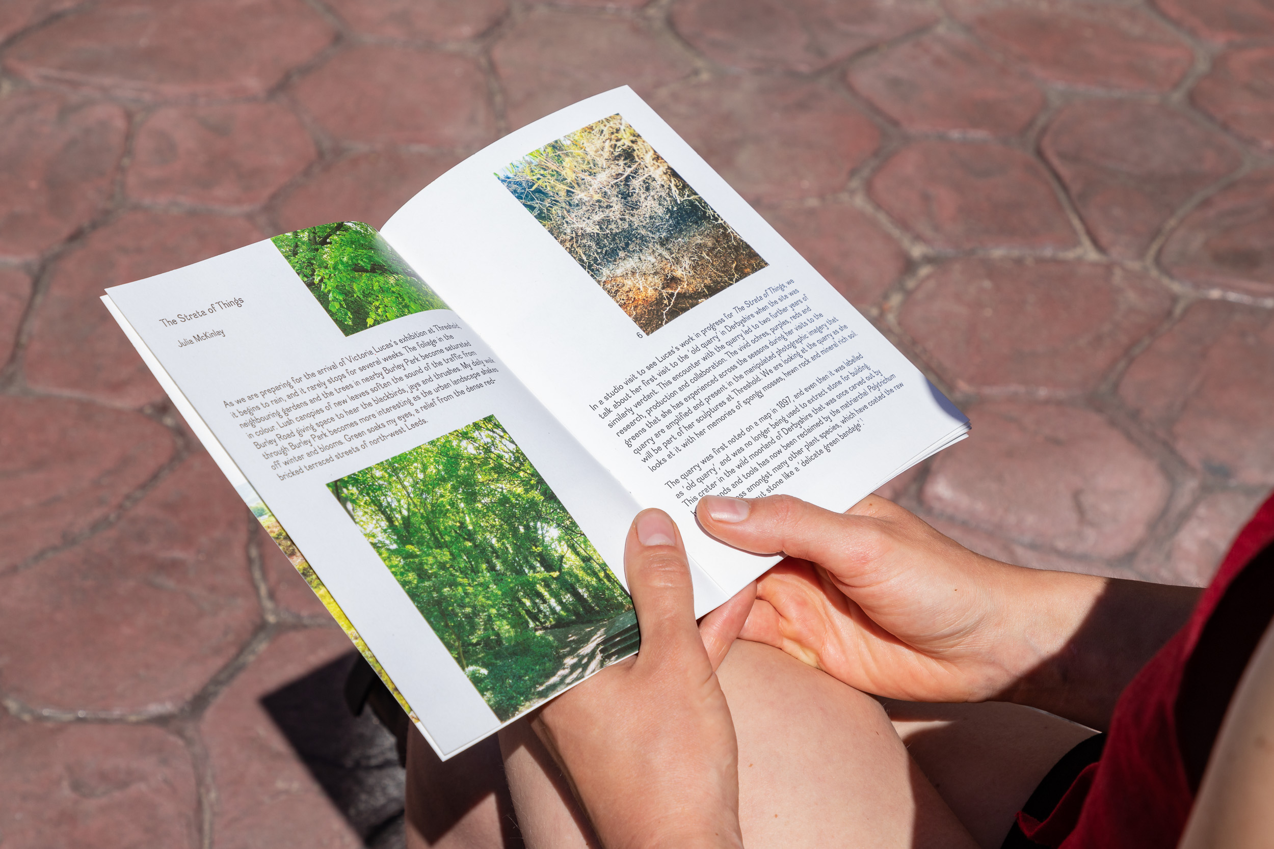 Detail of a visitor reading the publication, two hands hold the booklet open.