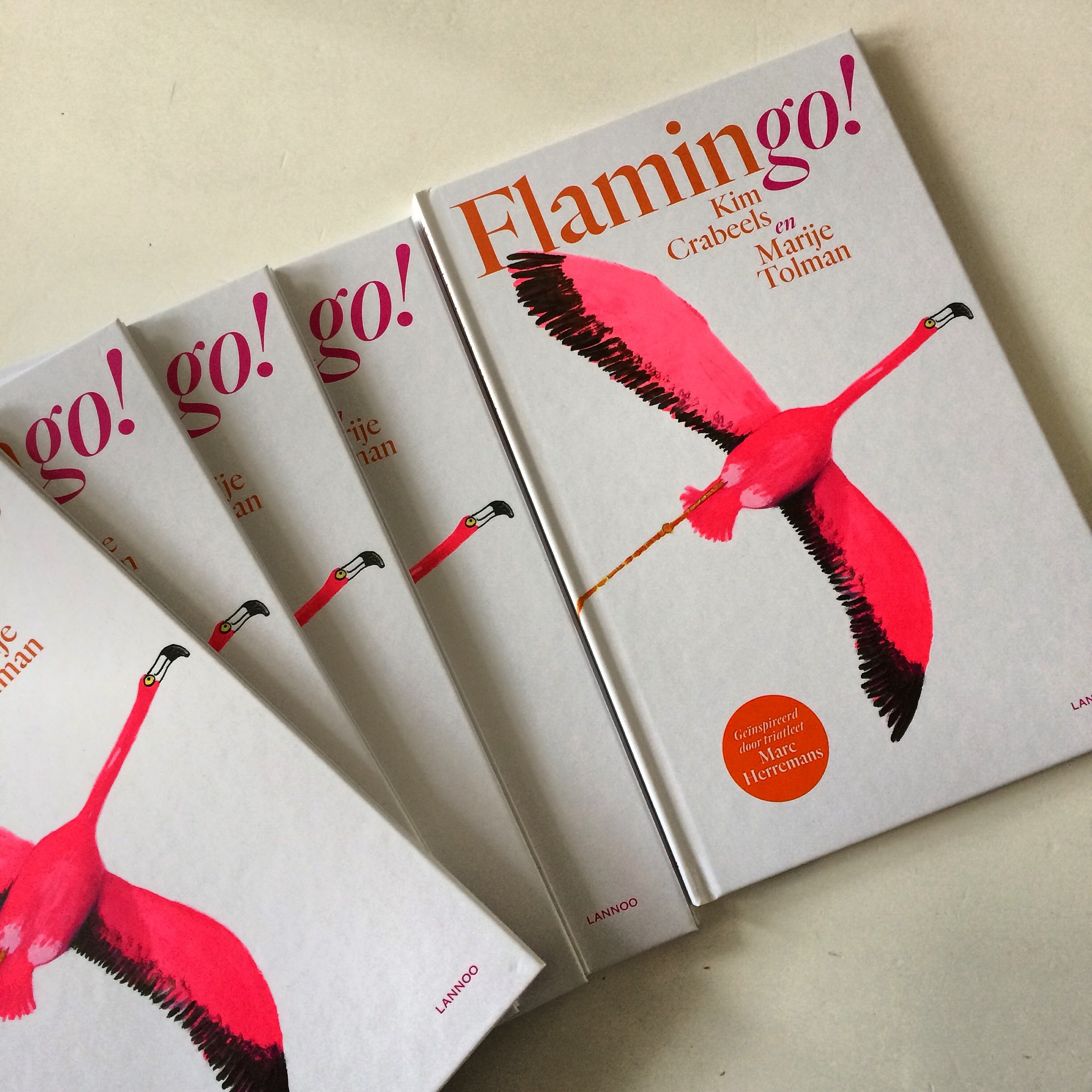 flamingo!