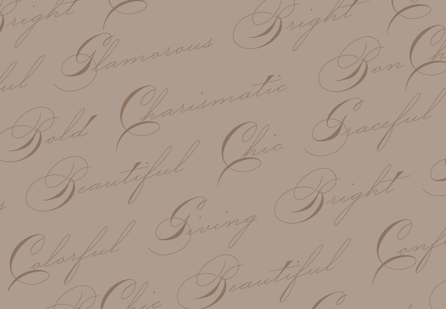 PACKAGING / BCBG HOLIDAY