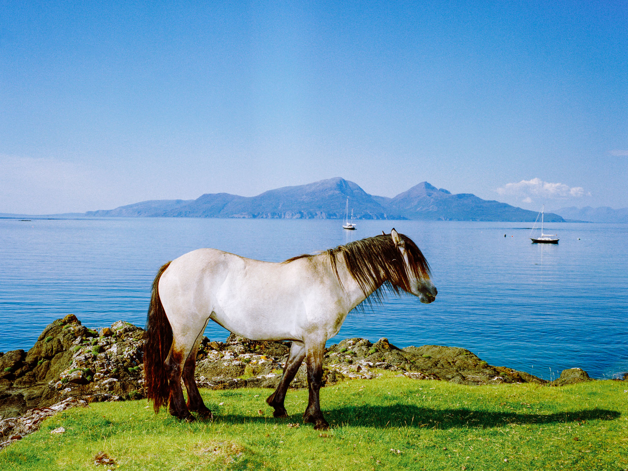 ISLE OF MUCK, SCOTLAND