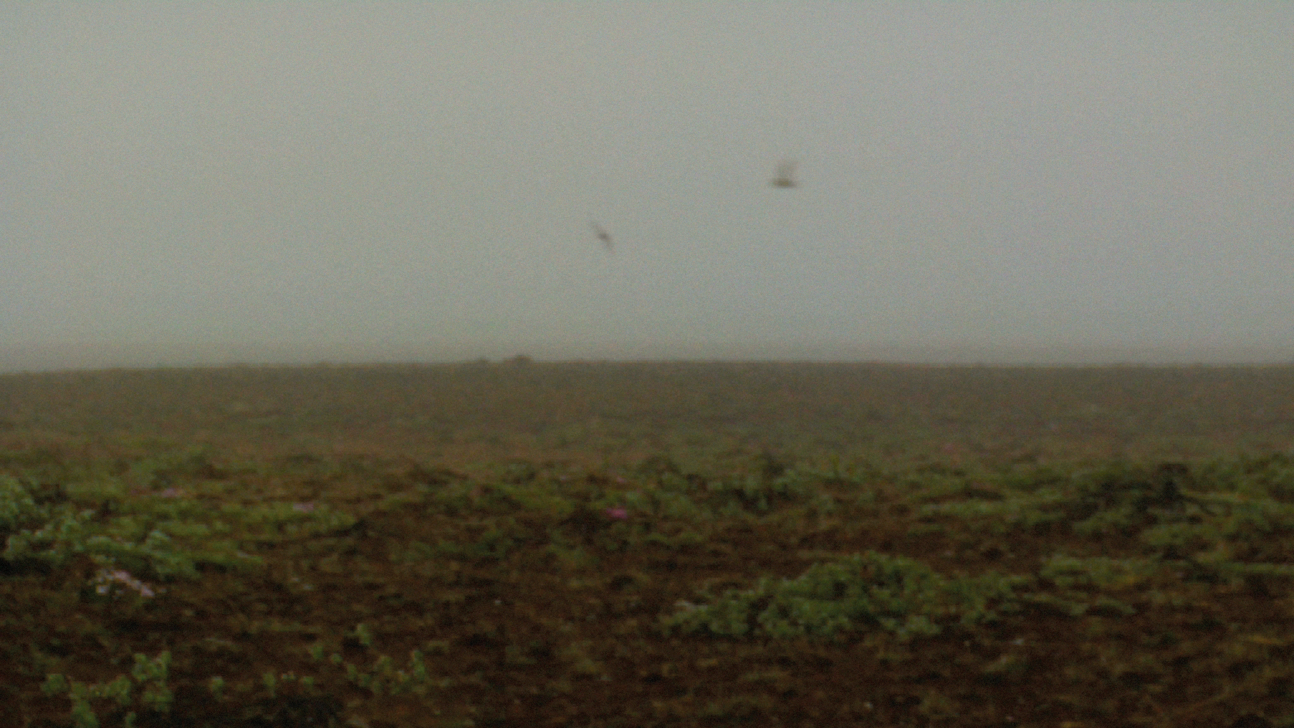 Recurrence Relation 1, 2008. Duration: 5:06 minutes. (still frame)