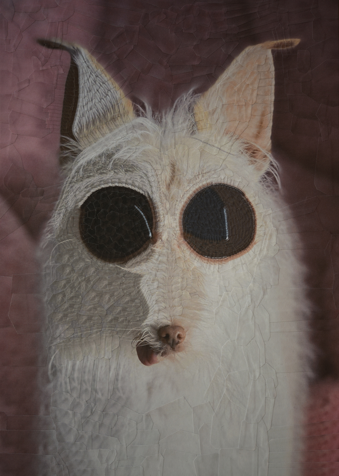 Odie, 2021, 8.2 x 11.6 inches