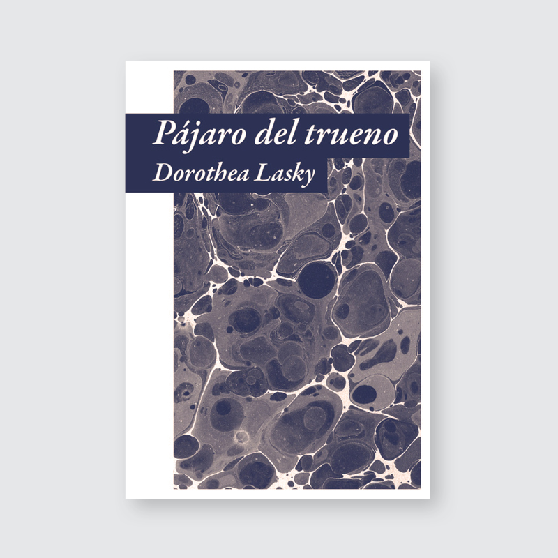 PÁJARO DEL TRUENO