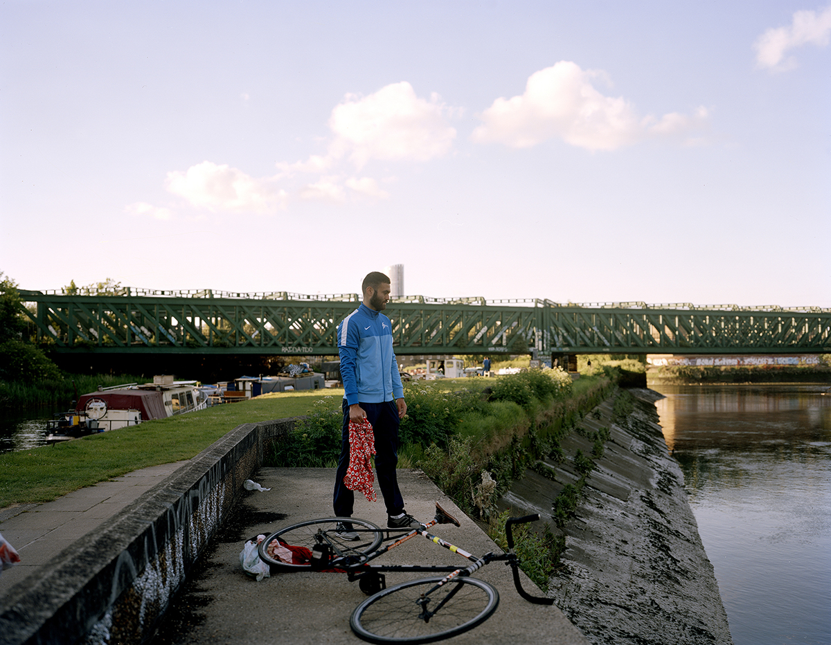 Episode IX.  Thus, they bloom,  2015.