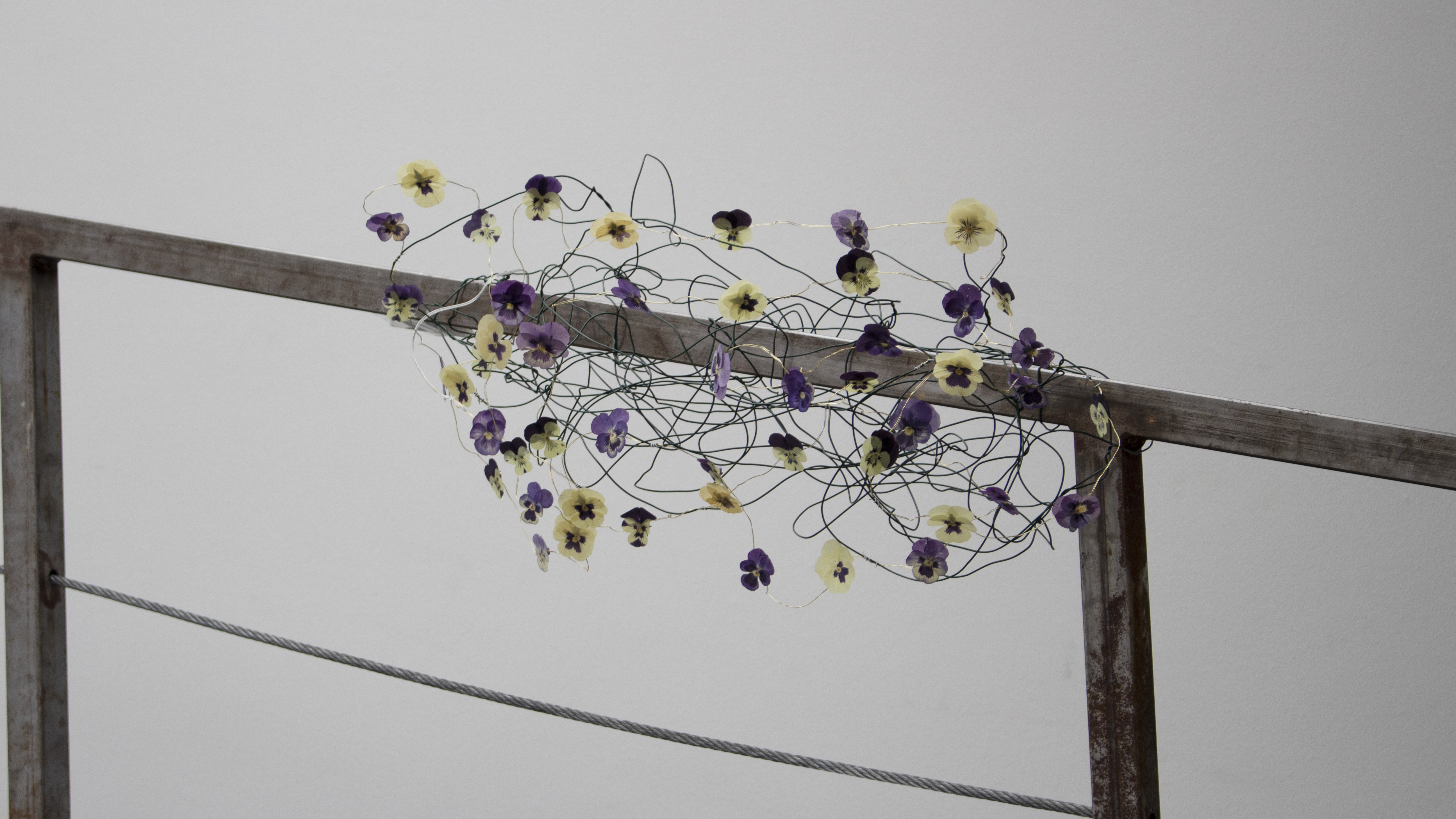 "Freethinking Pansy Face", 2021, wire, fairy lights, folded colour printed paper, dried pansy, dimensions variable