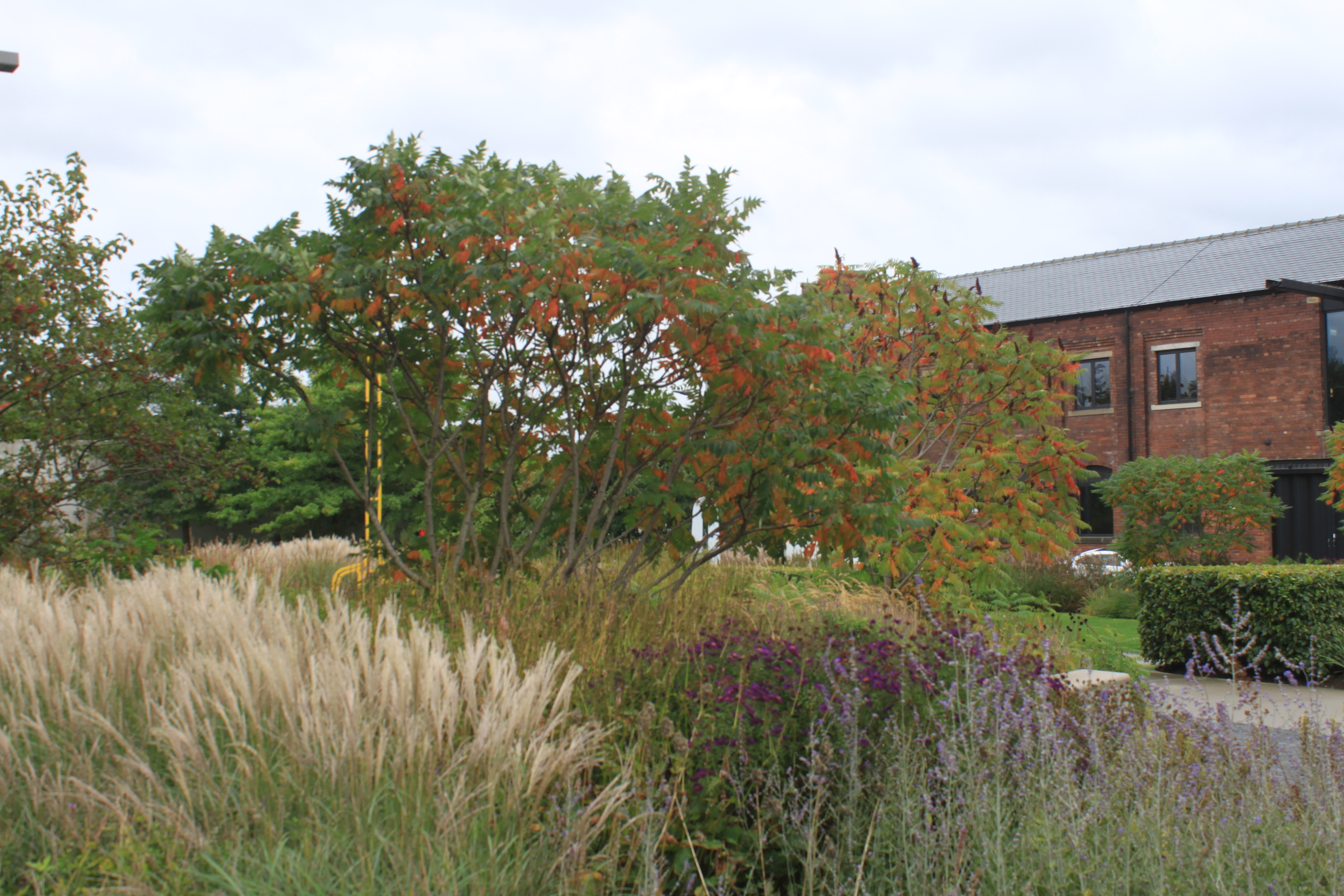 wakefield 📷 Cristina Audera