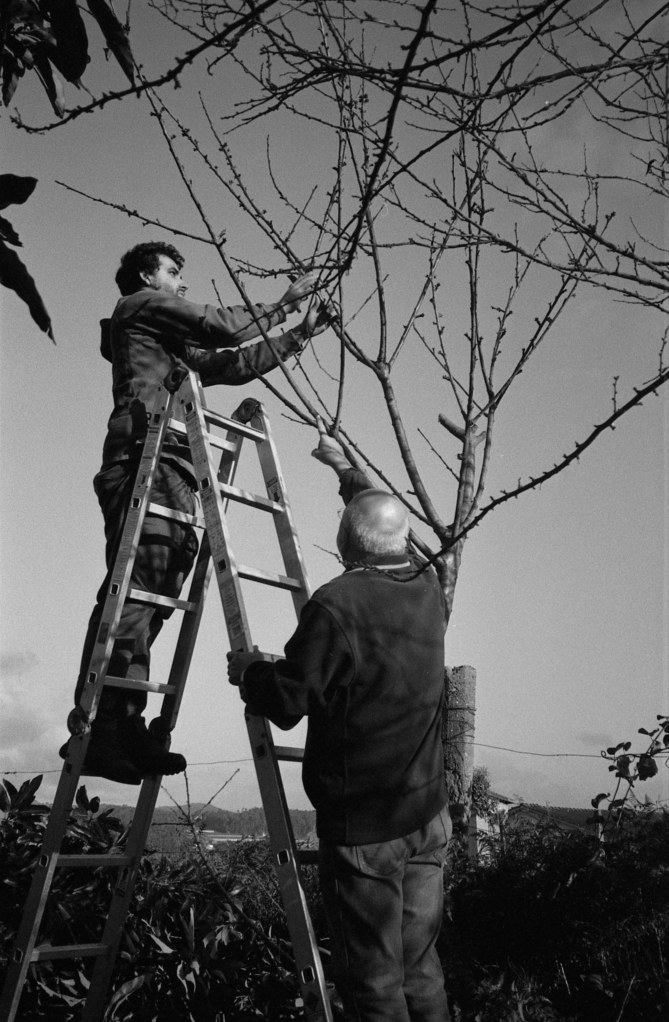 gingas na poda // DoubleX