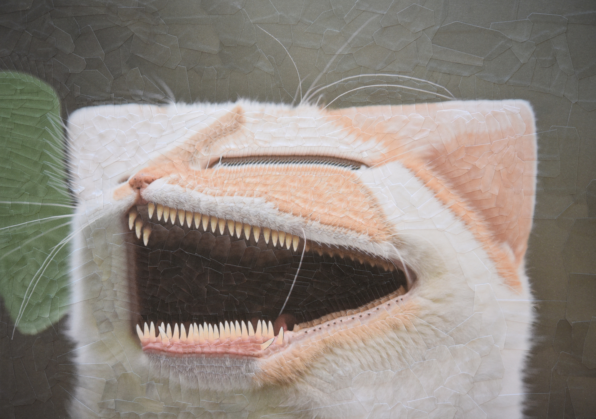 Charlie XIX the visitor, 2019, 11.6 x 8.2 inches