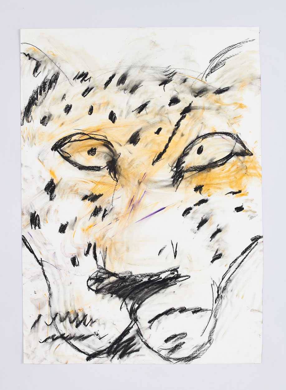 Malelane, 2019. charcoal and pastel on paper 95cm x 65cm