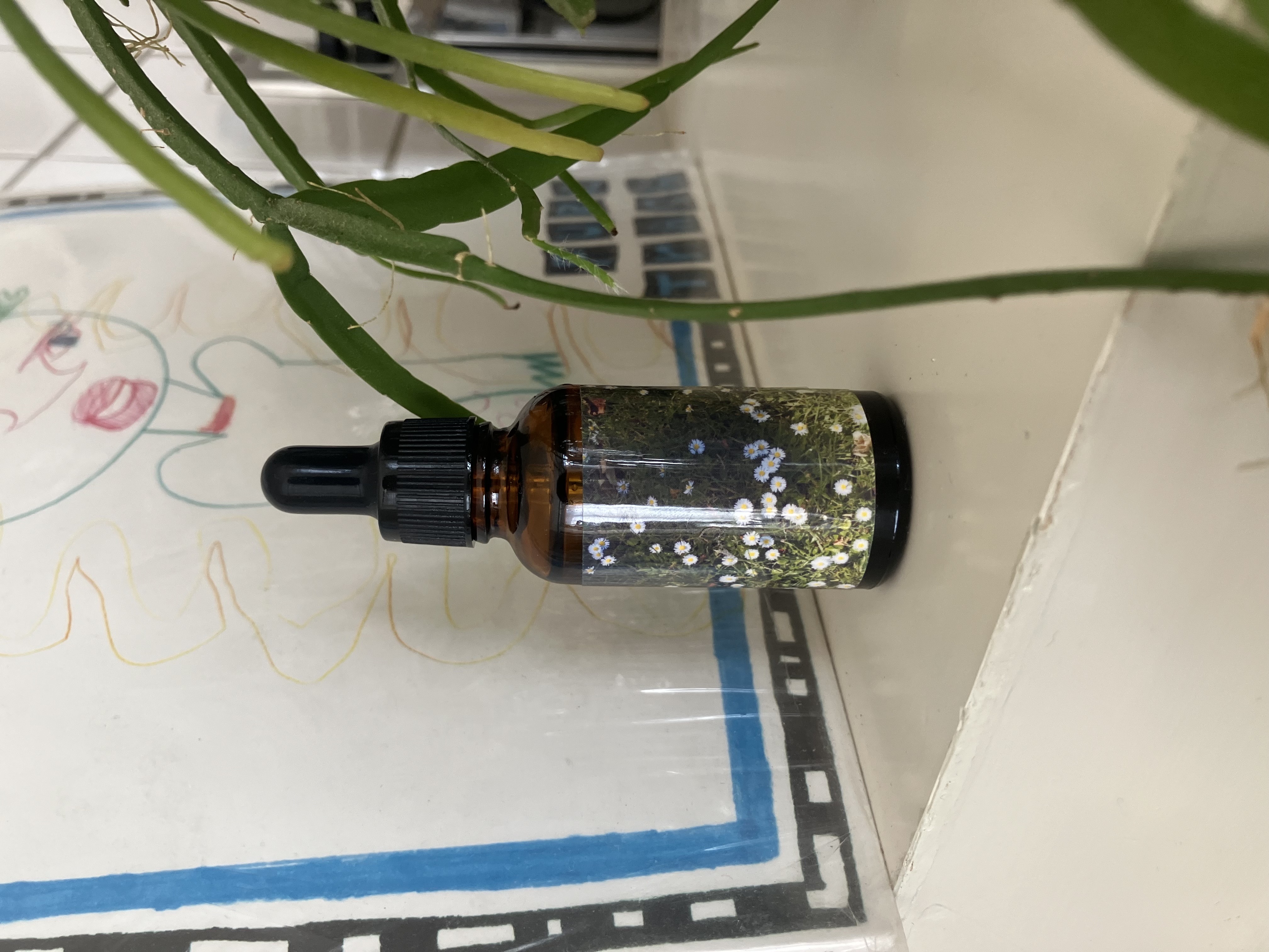 poetry oil - SEPTEMBER 21, 2025