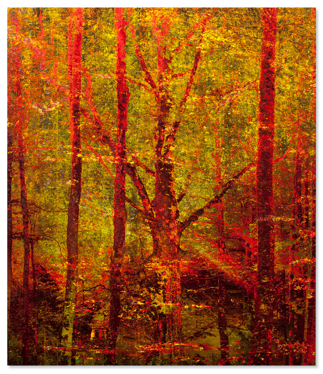 "Virus I", 49x57cm, 2020 - VENDU