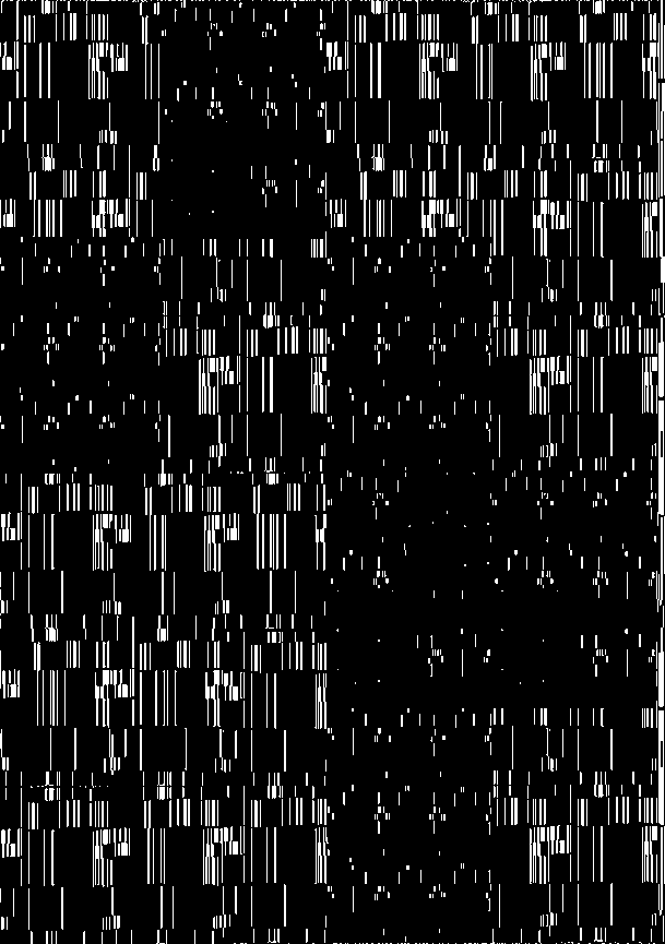 "Bar Codes / 28" Giclée fine art prints on Hahnemühle Watercolour paper / Variable dimensions / Edition of 6