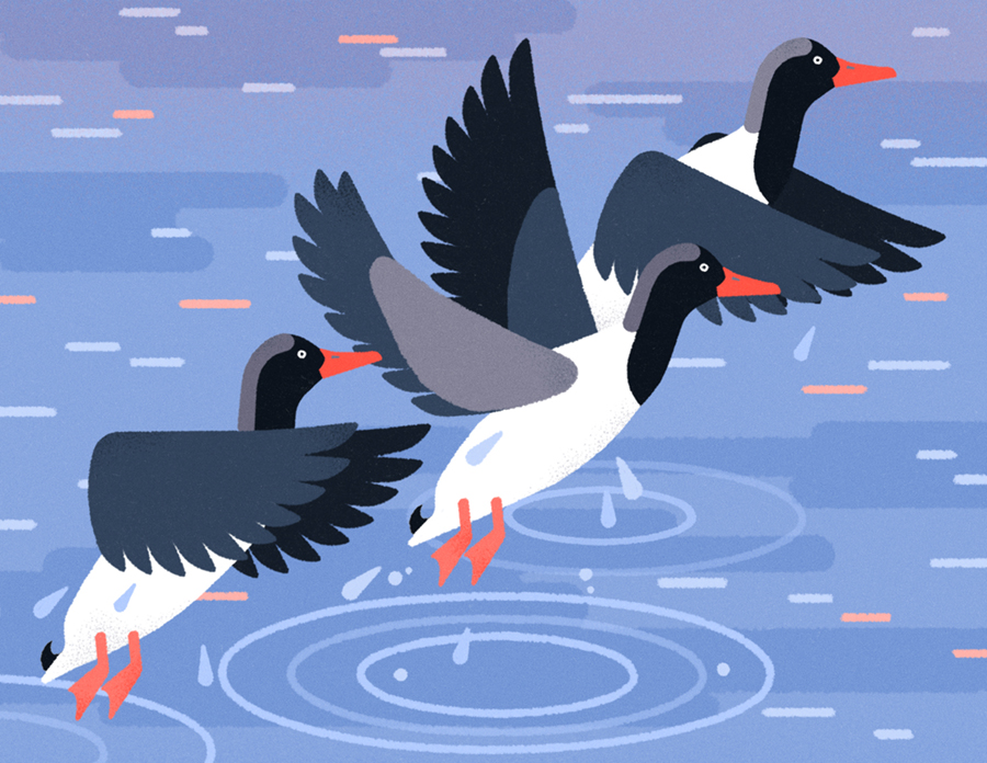 Illustration María Hergueta