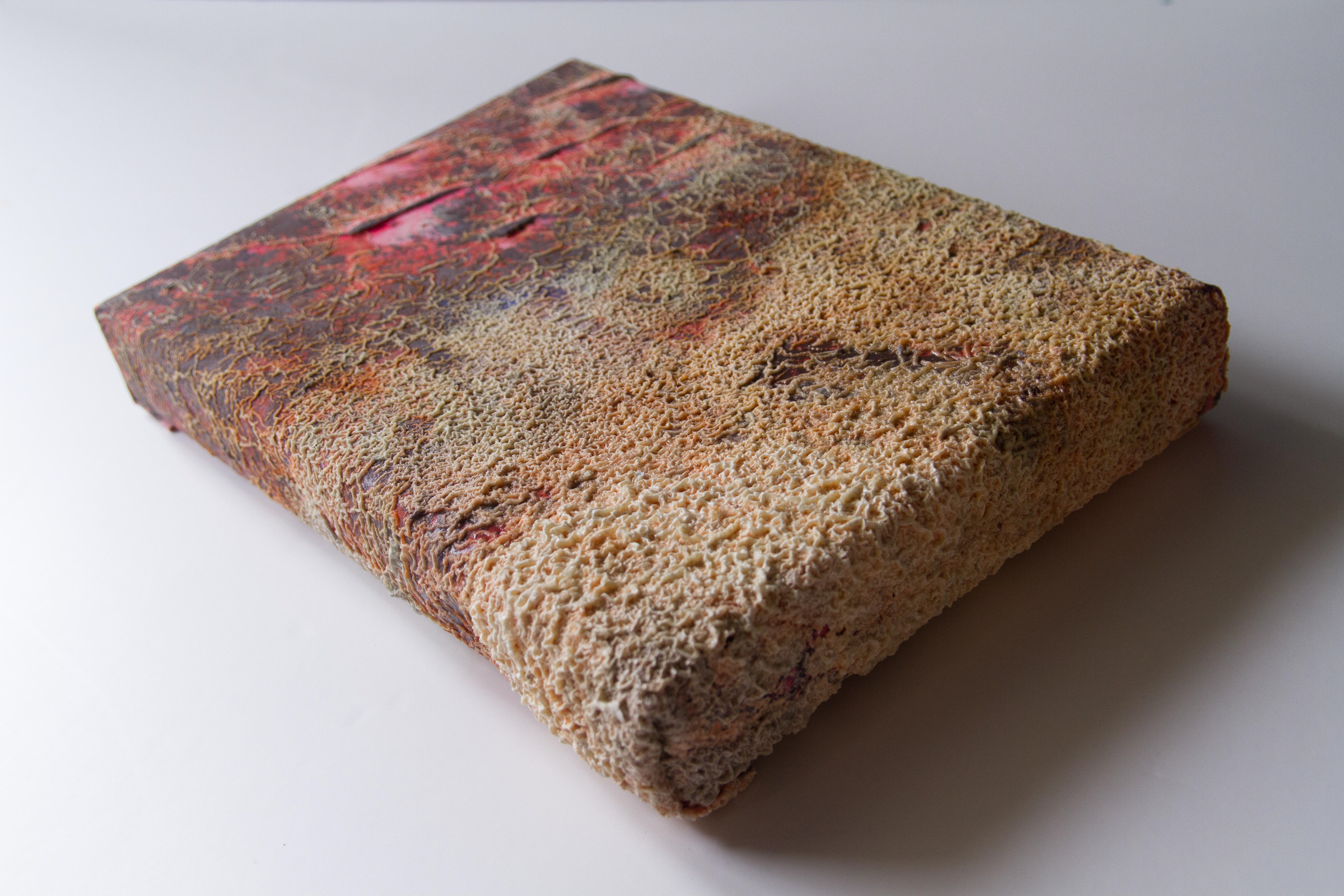 Strain I | 2017 | Acrylic Print and Resin on Rice Paper and Canvas | 25x35cm