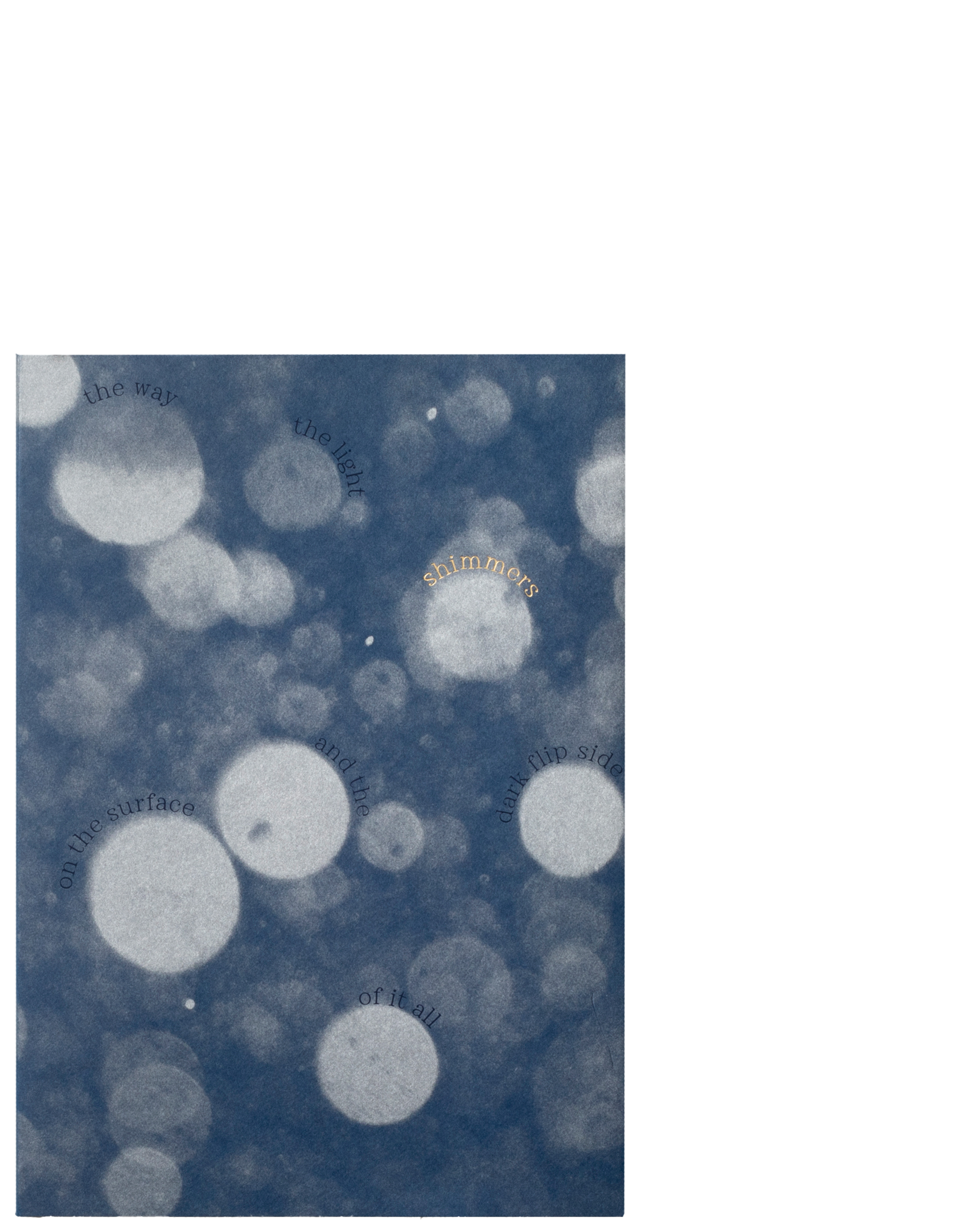 Shimmers by Alison McCauley