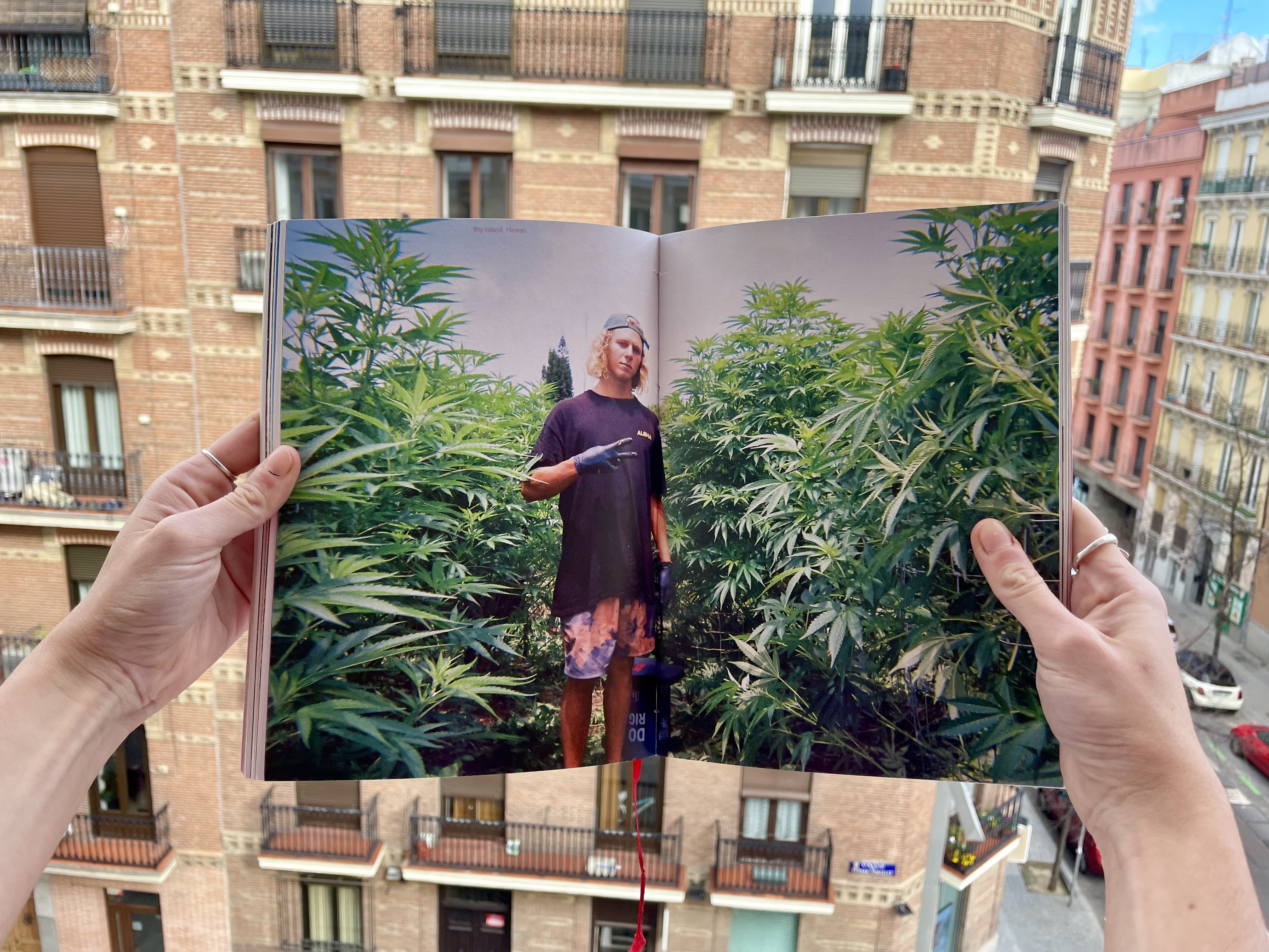 1. "Un pequeño libro de fotos y palabras"