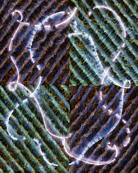 To Pull an Eyelid #102024Light drawing and tampered negative, archival pigment print, 40 x 32 inches