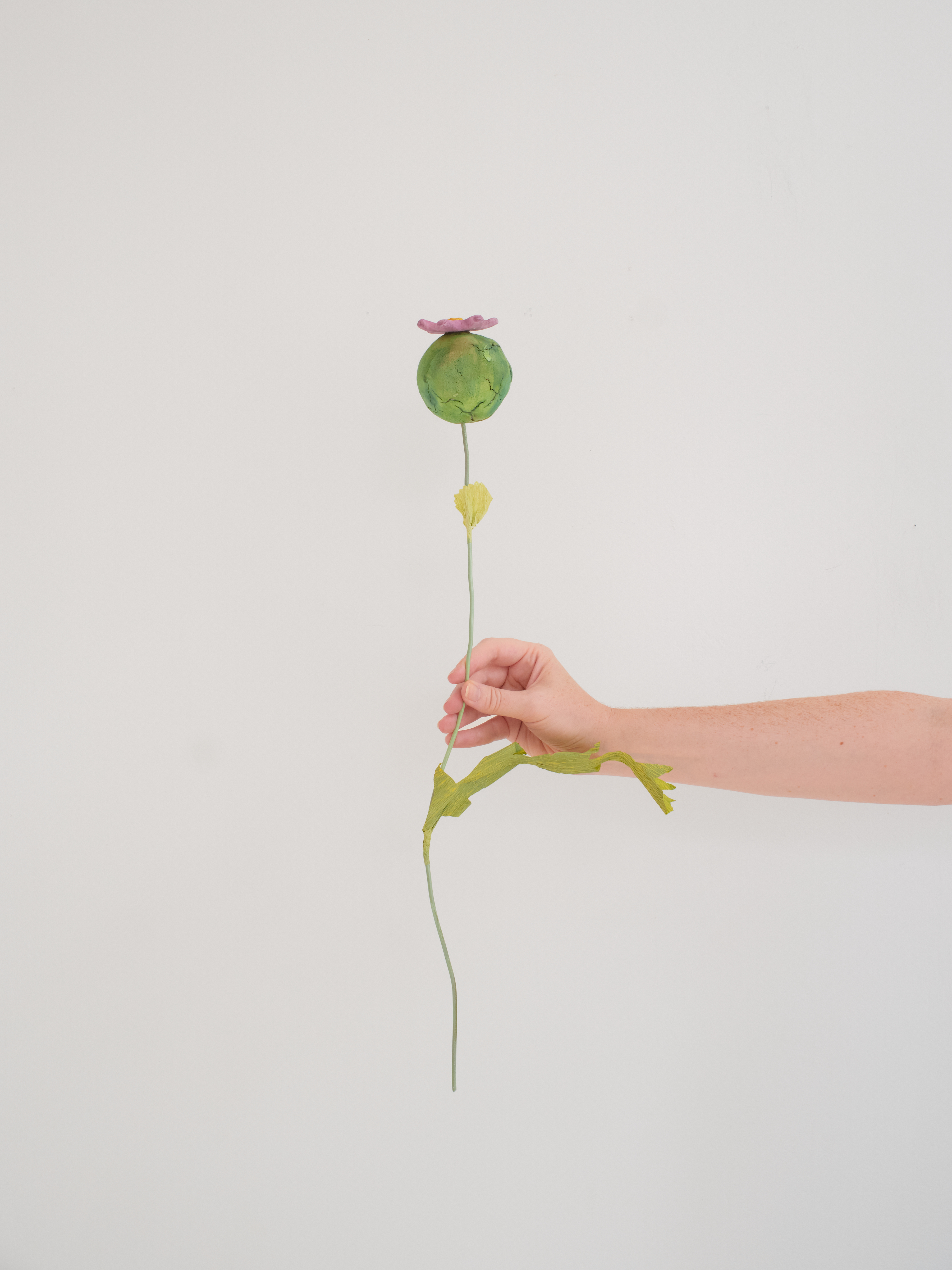 "Poppy Pod Facsimiles", dimensions variable, mixed media, 2025. $45 each