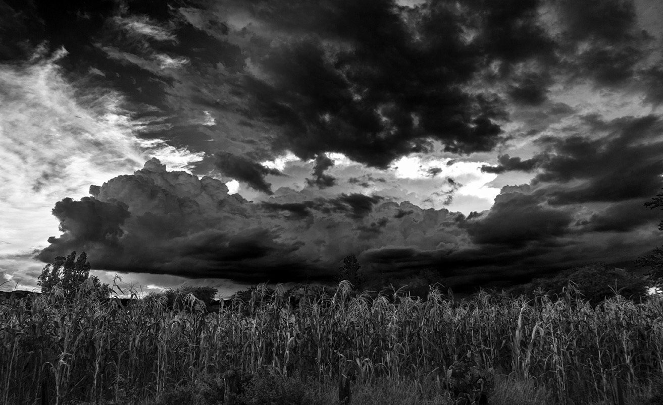 Jalisco, México, 2018