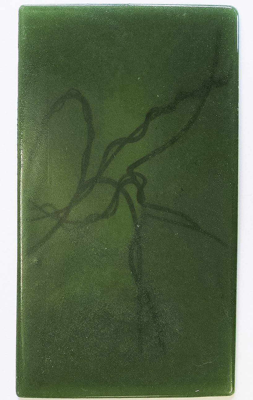 Tifenn Pâris Nos lianescences, 2025 Série de dessins au crayon graphite sur papier, résine de pin teintée à la chloro- phylle, brindille en résine de pin teintée à la chlorophylle réalisée d’après moulage Dimensions variables Courtesy de l'artiste