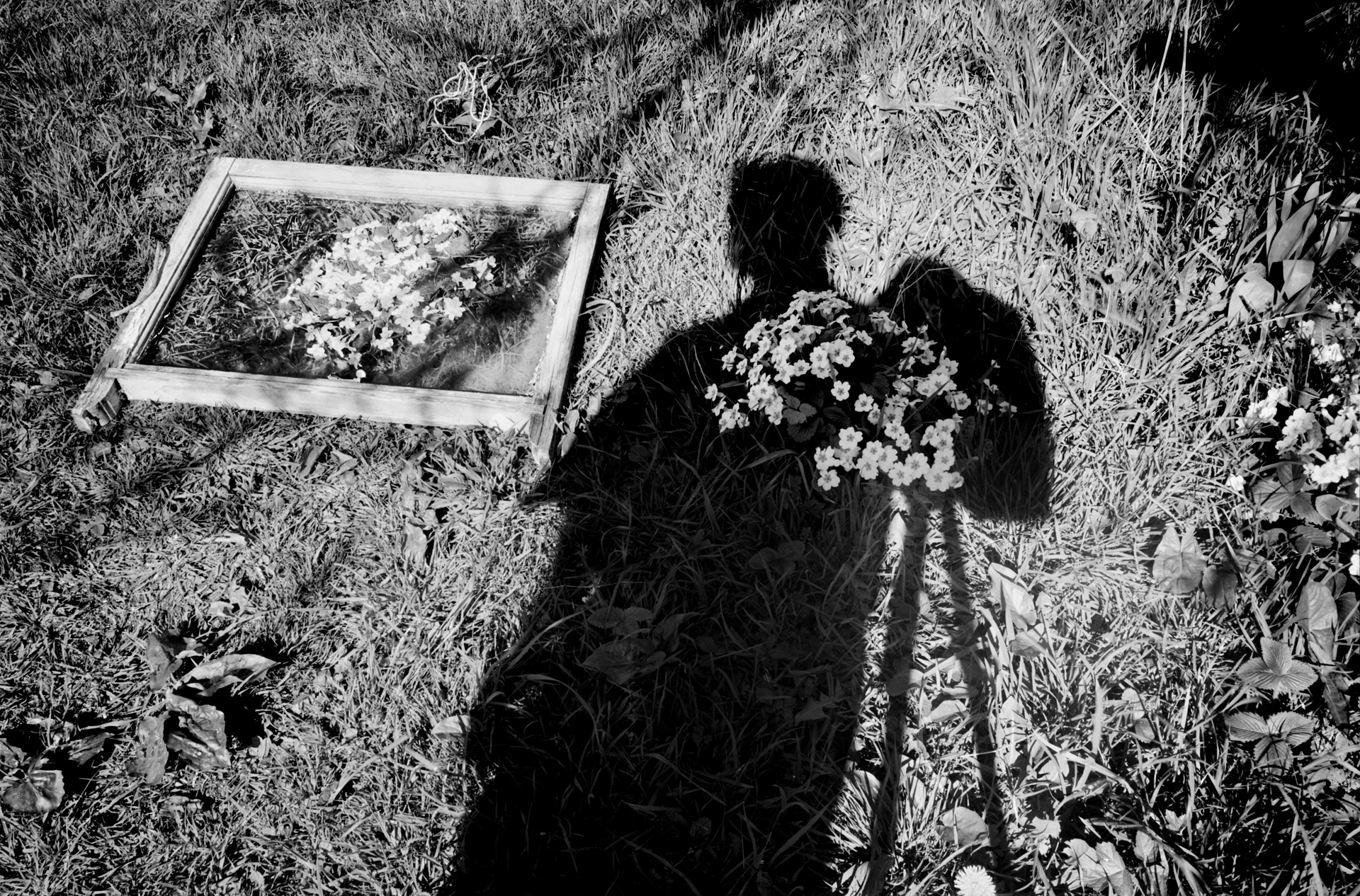 The Photographer’s Eye, 2002, 50 x 41 cm, 51 x 41 cm, Selenium Toned, Silver Gelatine Print