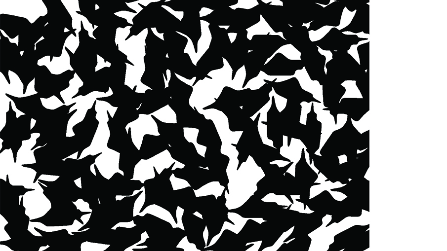 student: Manuel Bonell