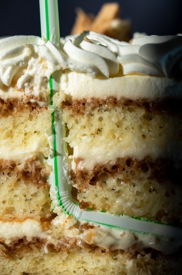 Tiramisu Extraction © 2022, Pamela EA