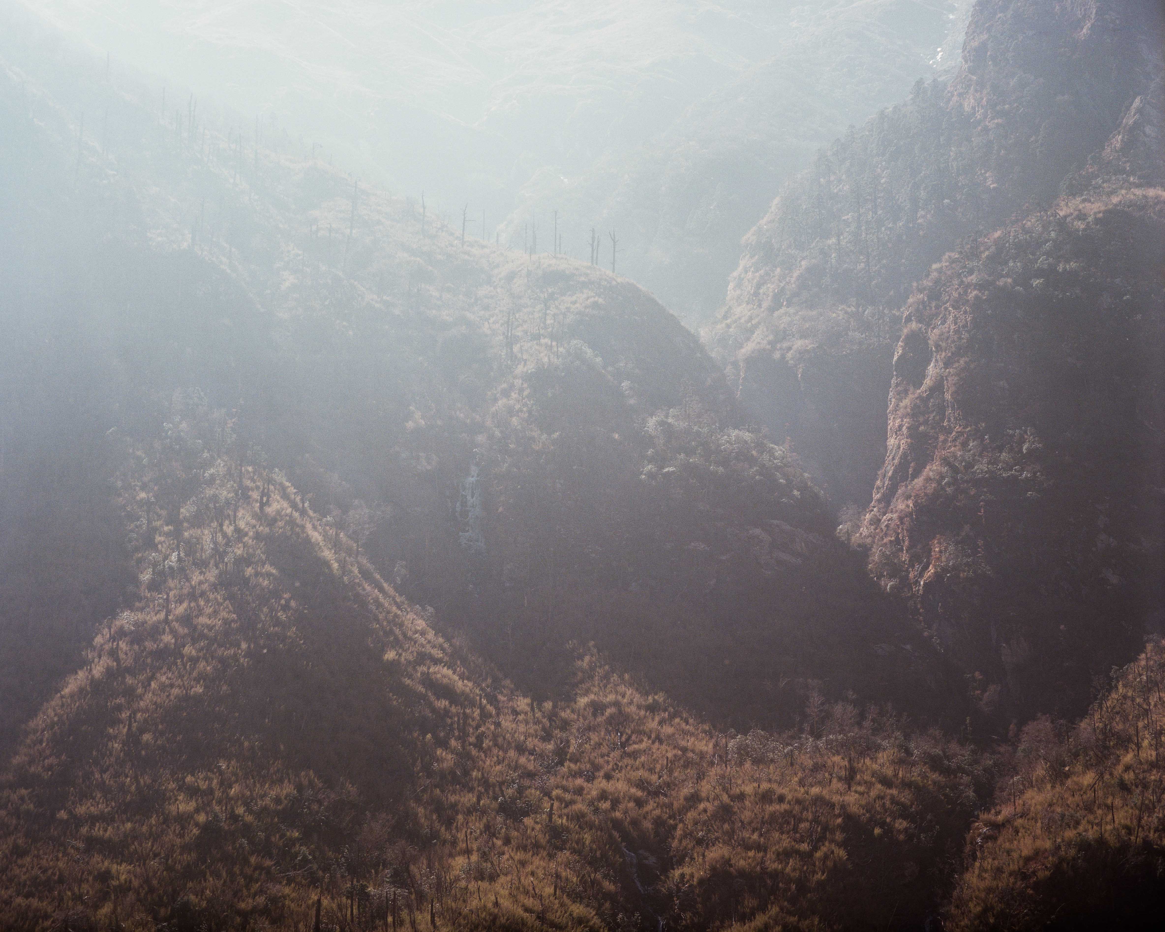 The avalanche took down most of the trees on this part, tearing it down or cutting it off.