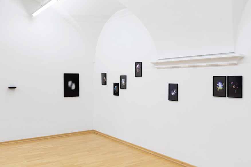 Group show NÖ DOK - Dokumentationszentrum für moderne Kunst St. Pölten January 2020 Photos: Sonja Dürnberger