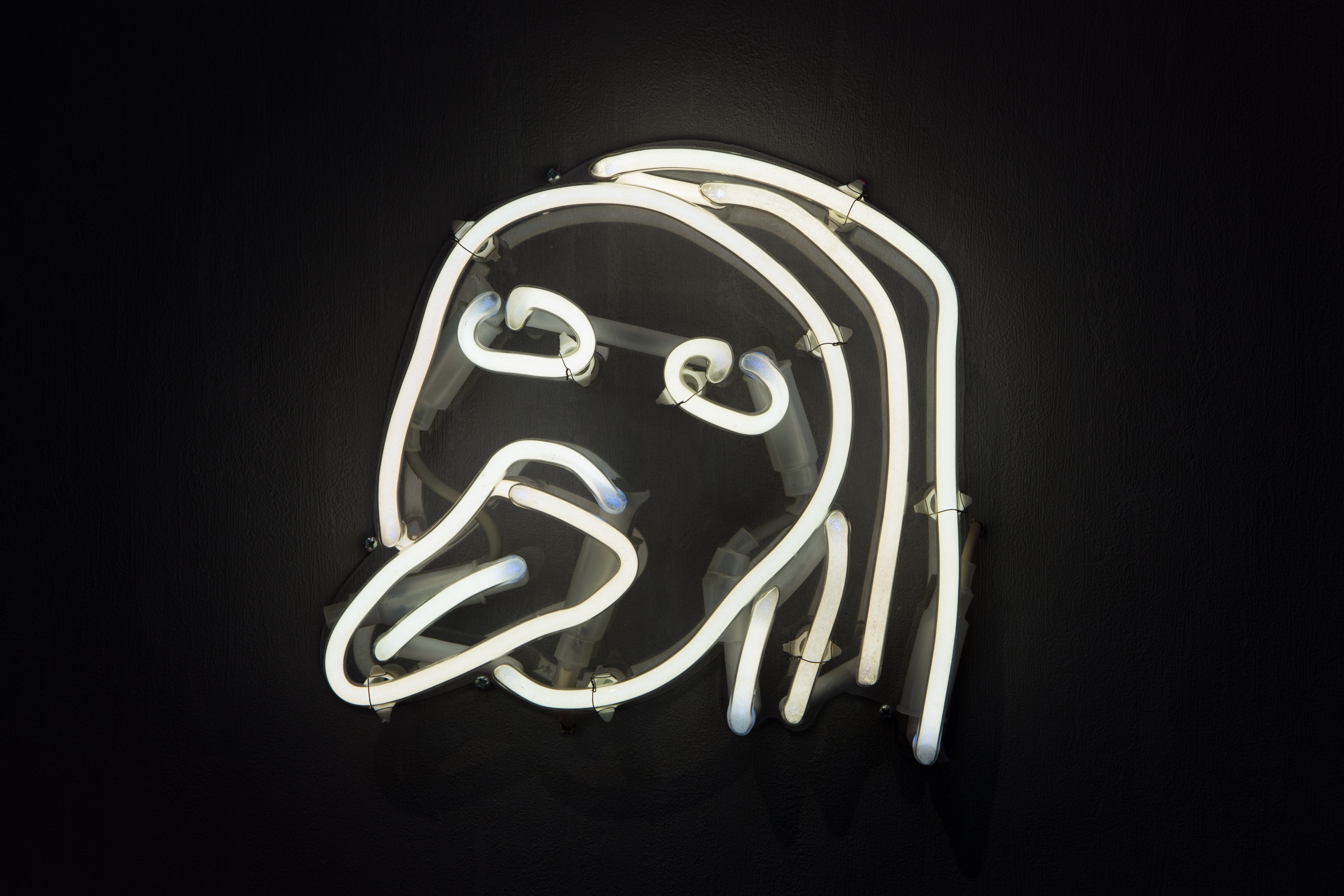 You. 2017Neon light50 × 14 × 05 cm + 23 × 25 × 05 cm 