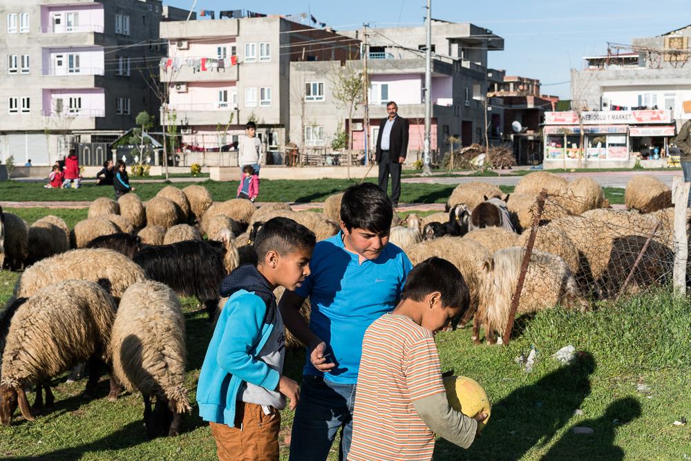 Batman. Quartier des ko&ccedil;ers. Les ko&ccedil;ers sont d'anciens &eacute;leveurs nomades ayant du se s&eacute;dentariser, notamment &agrave; cause de la guerre men&eacute;e par l'&eacute;tat turc dans les zones montagneuses, rendues de fait interdites. Le quartier des ko&ccedil;ers est vu comme un bastion de la r&eacute;sistance &agrave; l'&eacute;tat.
