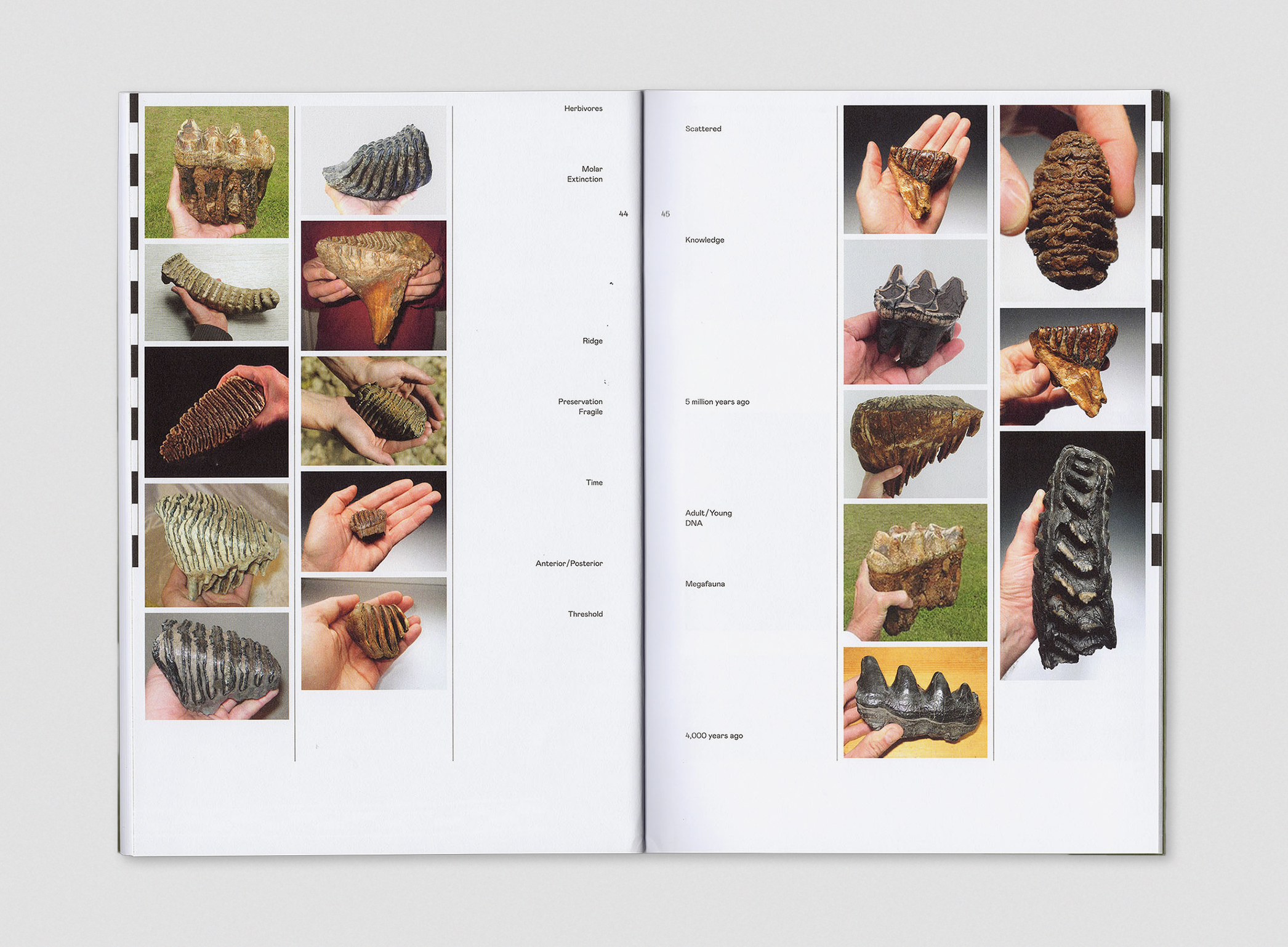 Giovanna Petrocchi, Sculptural Entities, A Corner With Editions, 2021