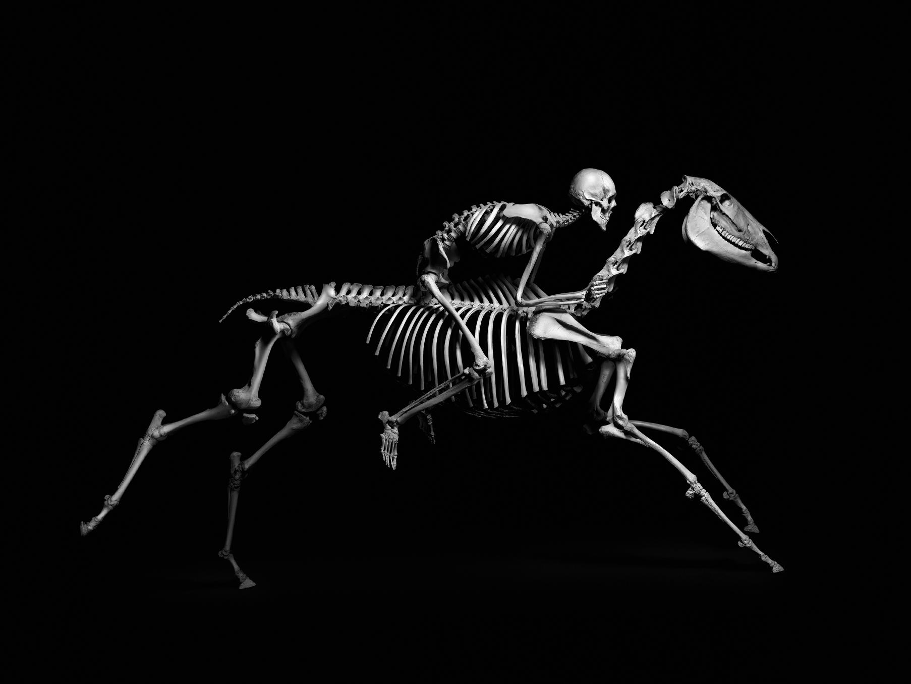 Patrick Gries « Squelette cavalier » at Editions Xavier Barral | Musée de Préhistoire d’Ile de France | Lambda Satiné Fuji