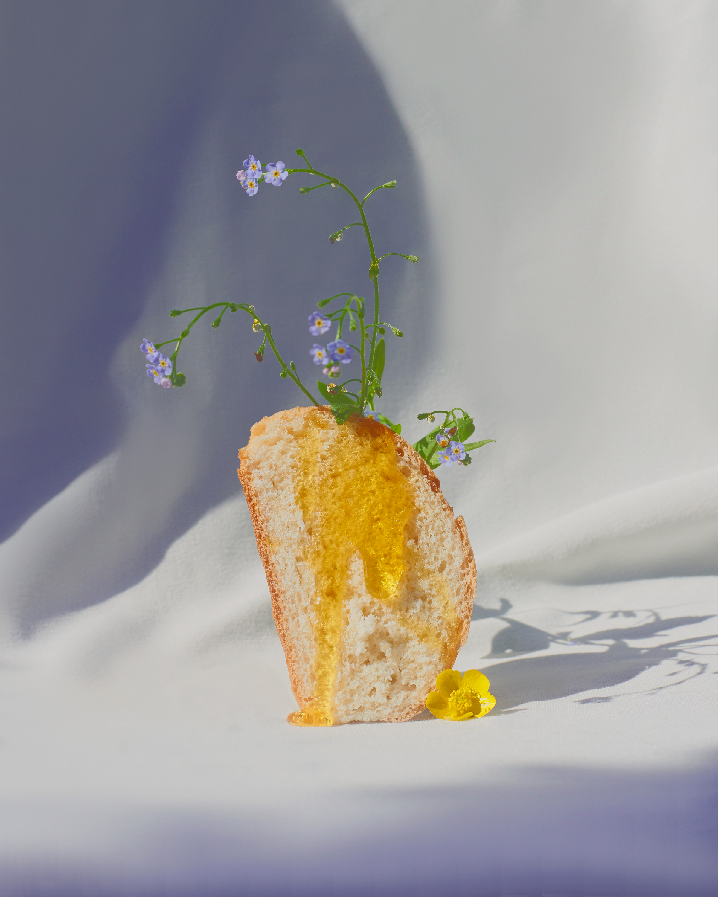 Anastasia Kolesnichenko