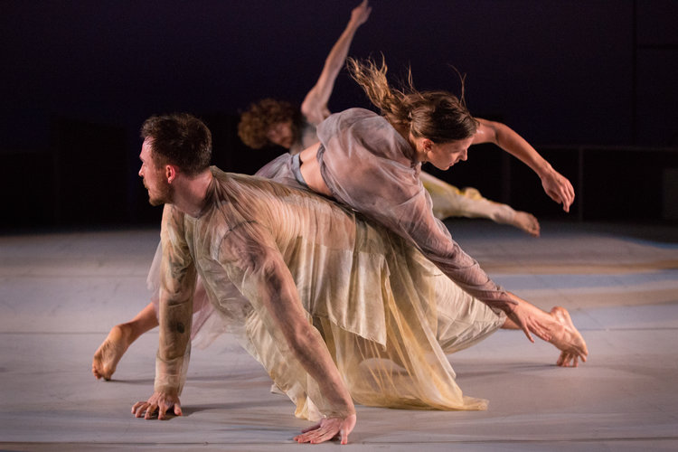 Dust, Dancenorth | Photo By Amber Haines