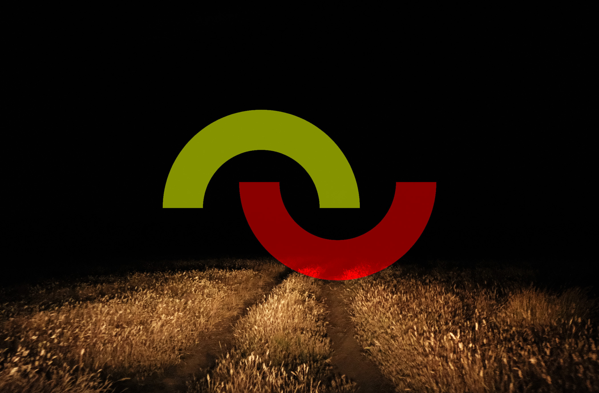 A branded graphic for 'The Circular' superimposed over a photo of headlights shining on dry grass fading into darkness at night