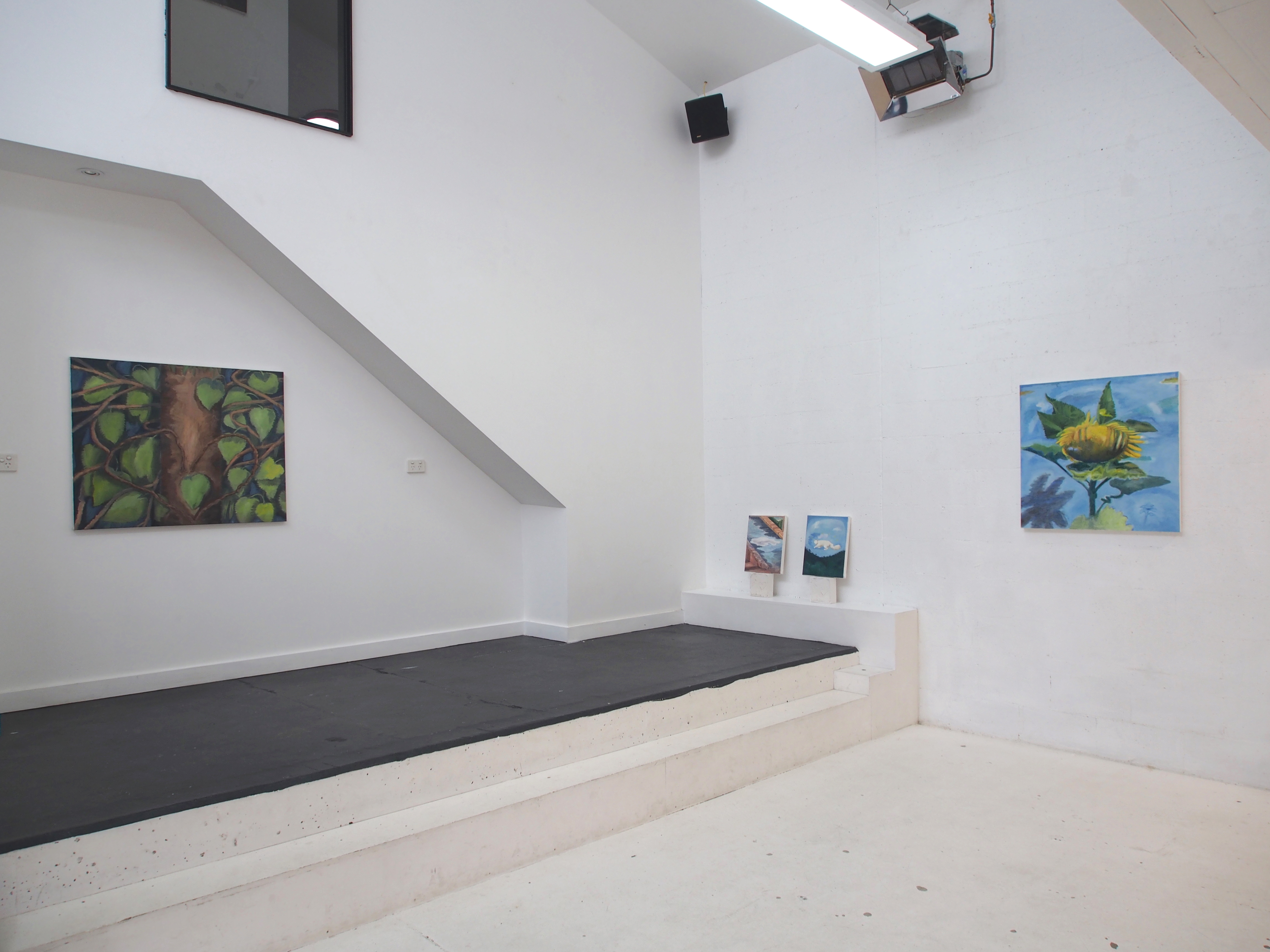 Installation view