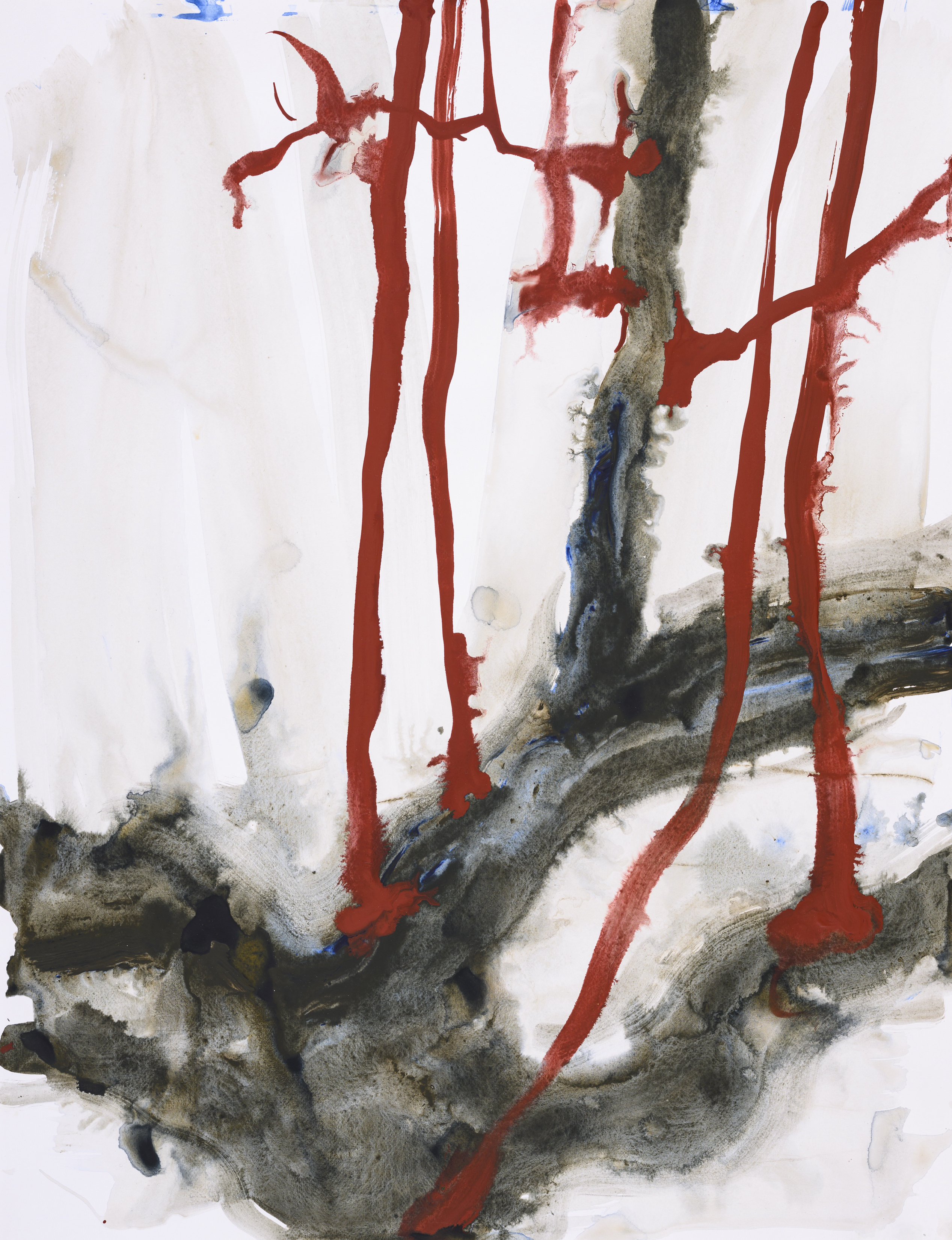 Study of nature 2034Acrylic on paper 65×50cm