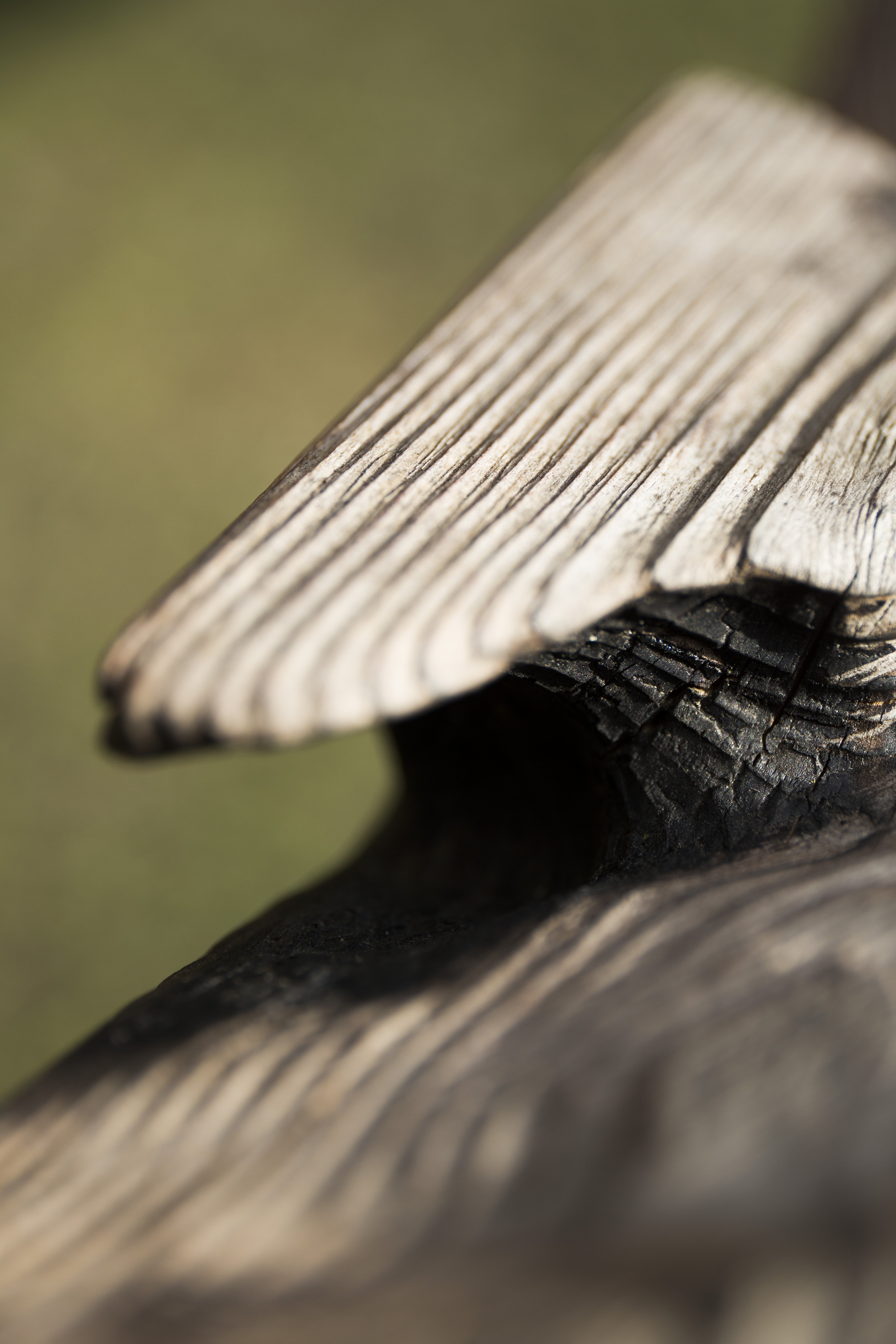 Filigrane, Vizille, collaboration Lis & Daneau Architectes et Maxime Lis