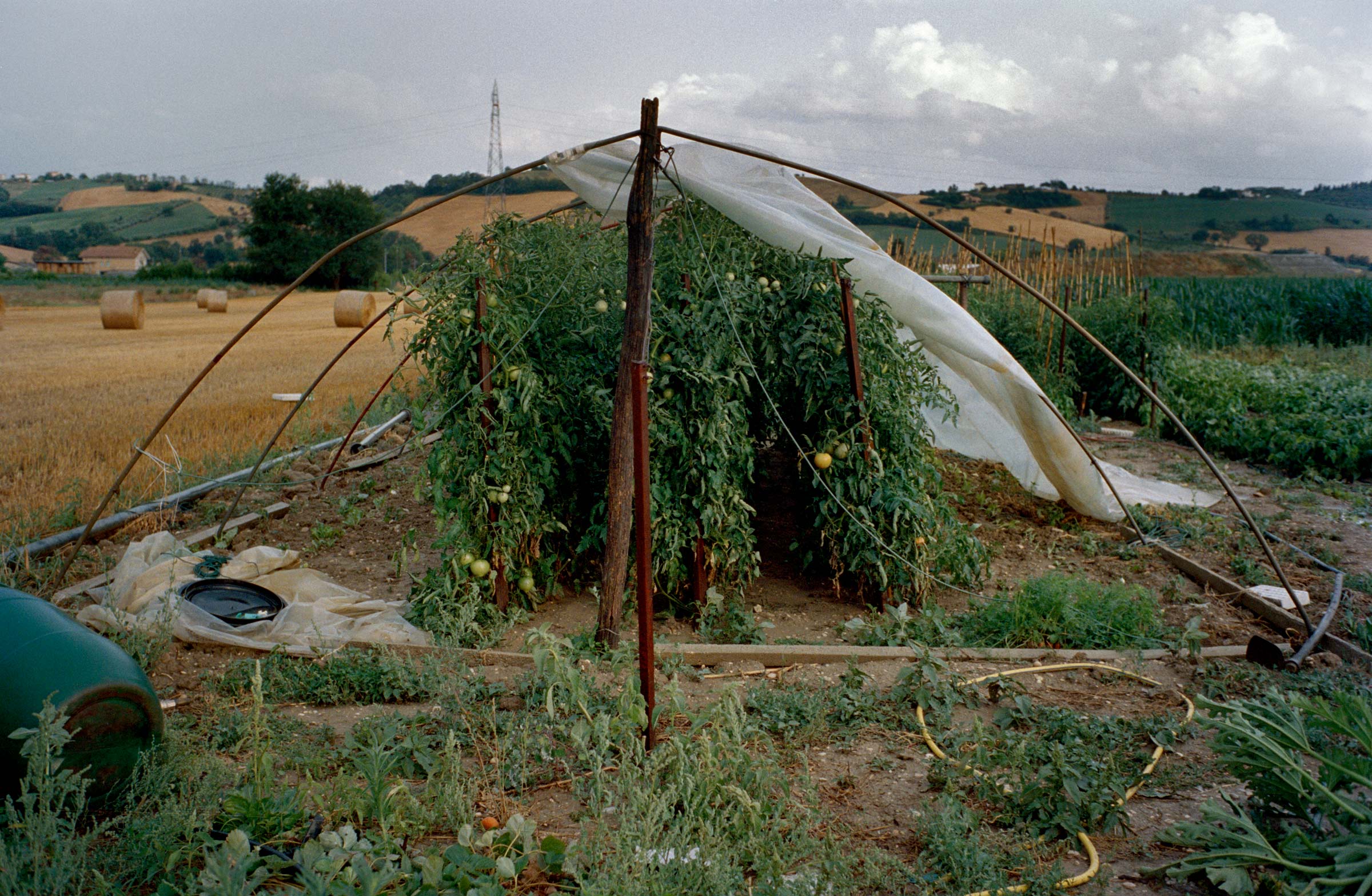 Serra dopo la bufera, 2019, Fermo.