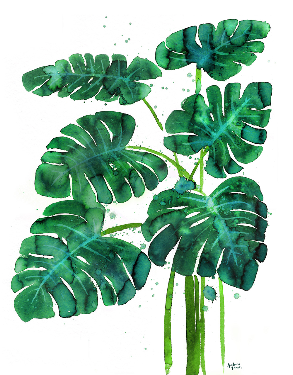 Monstera Poster