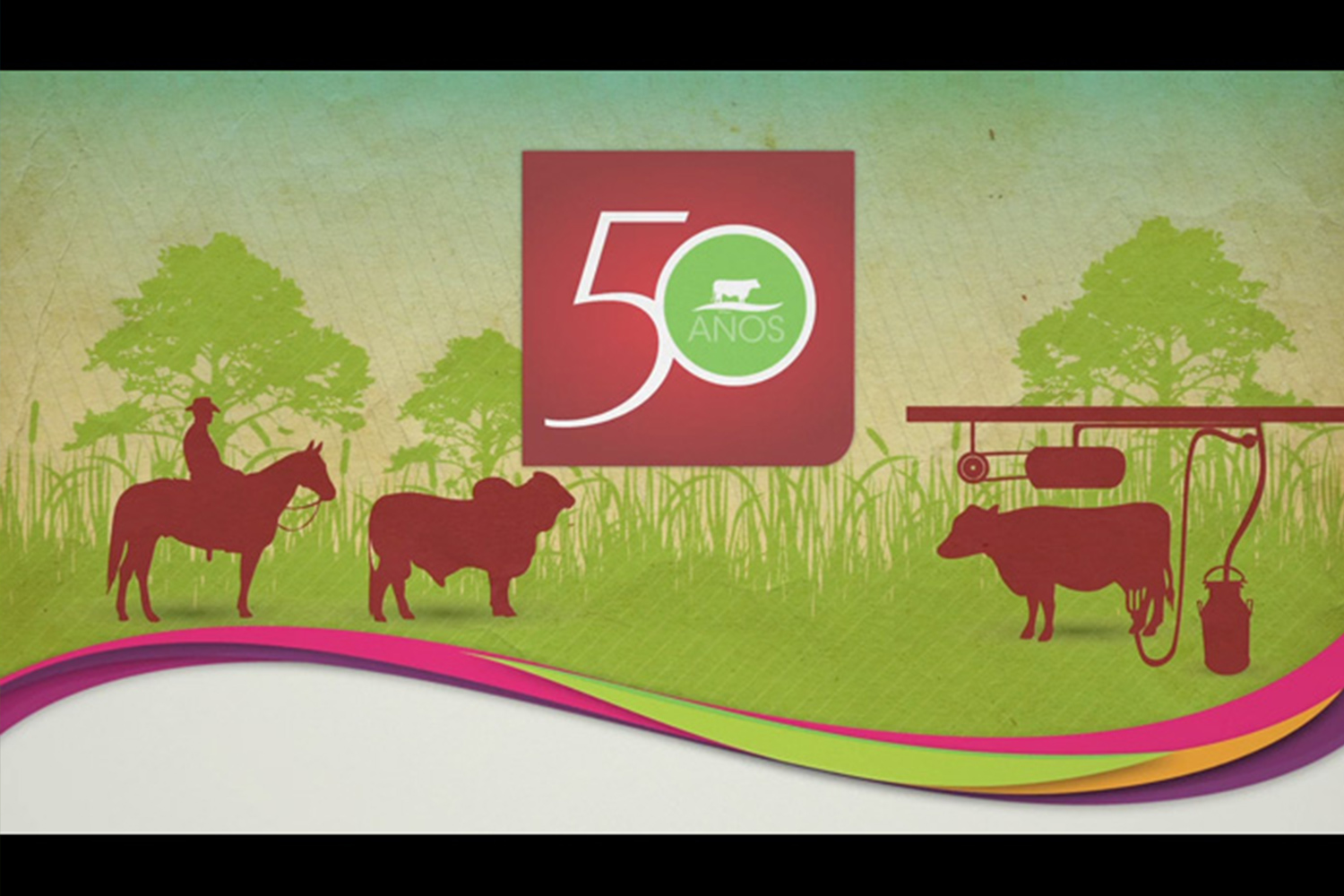 2010/ Multimédia "Congrès national" - Fedegan