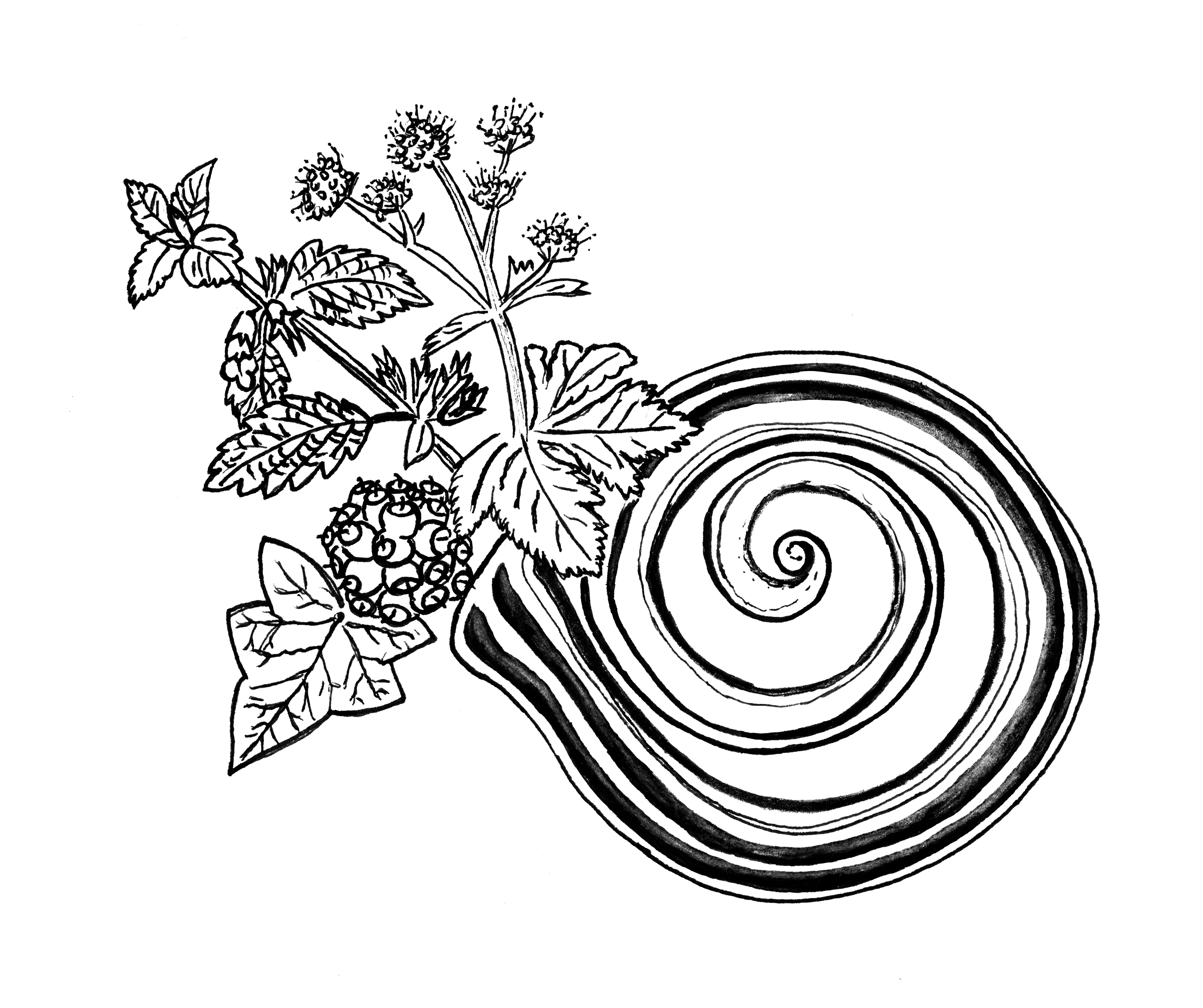 Pflanzengeschwister_logo
